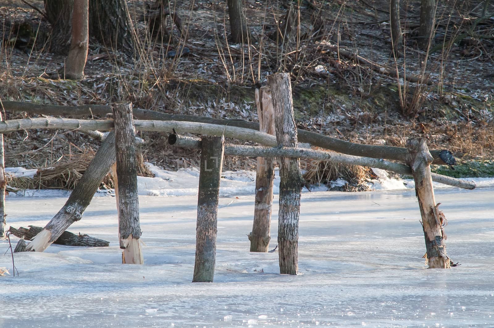 river, winter, snow  by antonius_