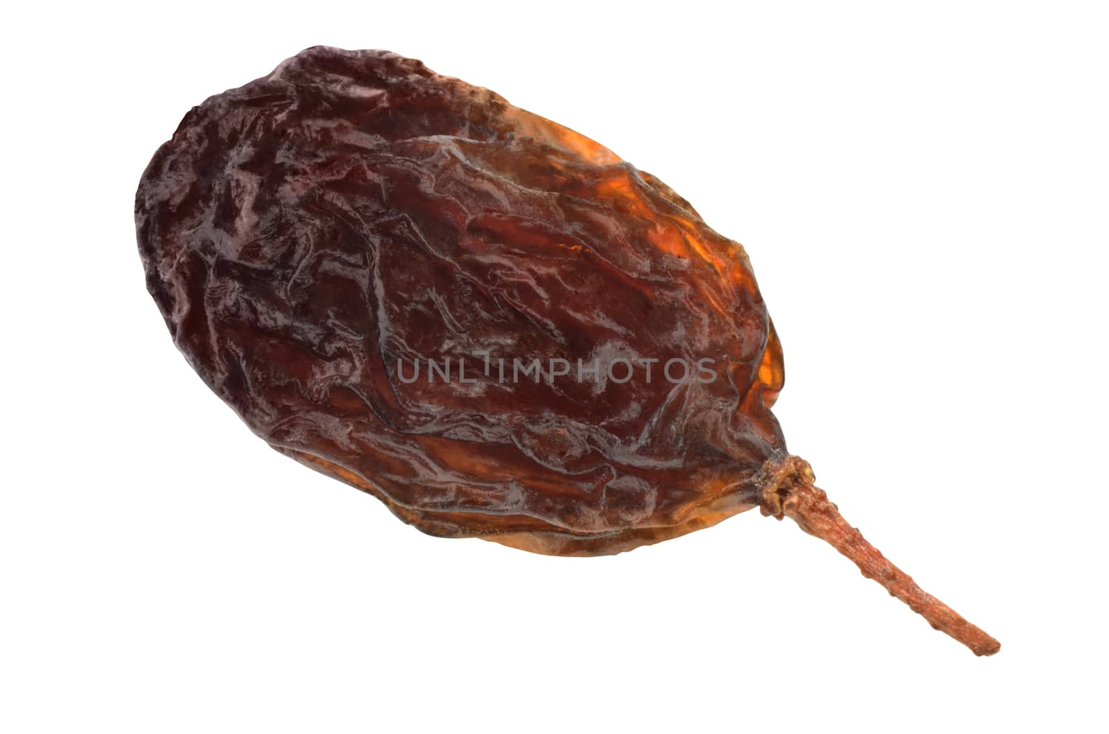 Single raisin fruit isolated with path on white background. Macro image.