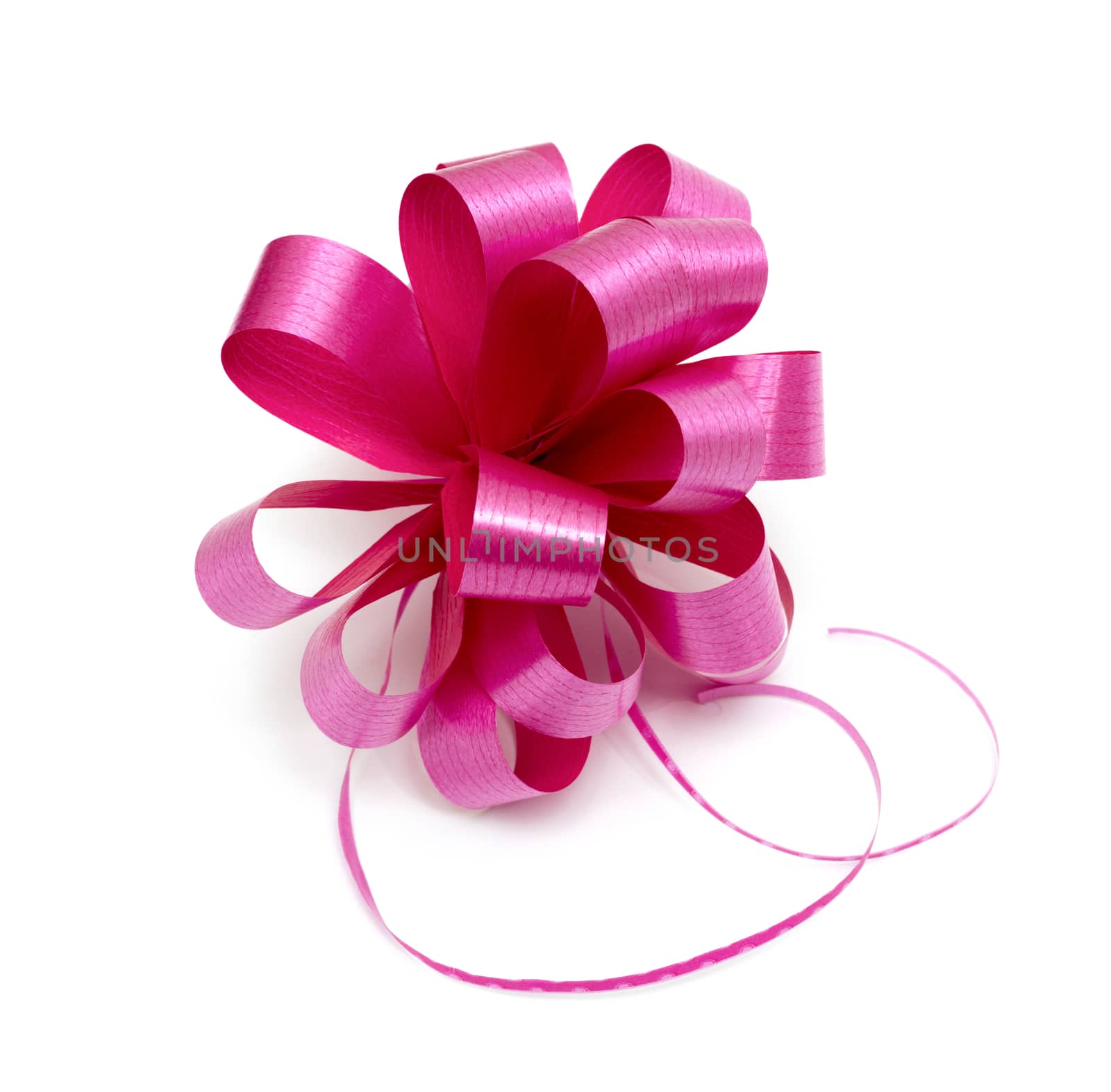 Big pink ribbon bow isolated on white by DNKSTUDIO