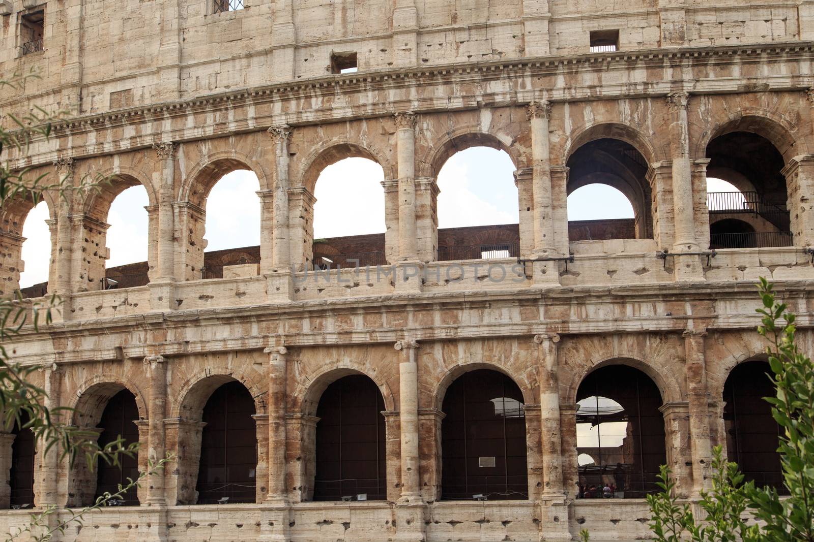 View of amphitheatre of Colosseum built by Vespasian and Titus in Rome, inside trees.