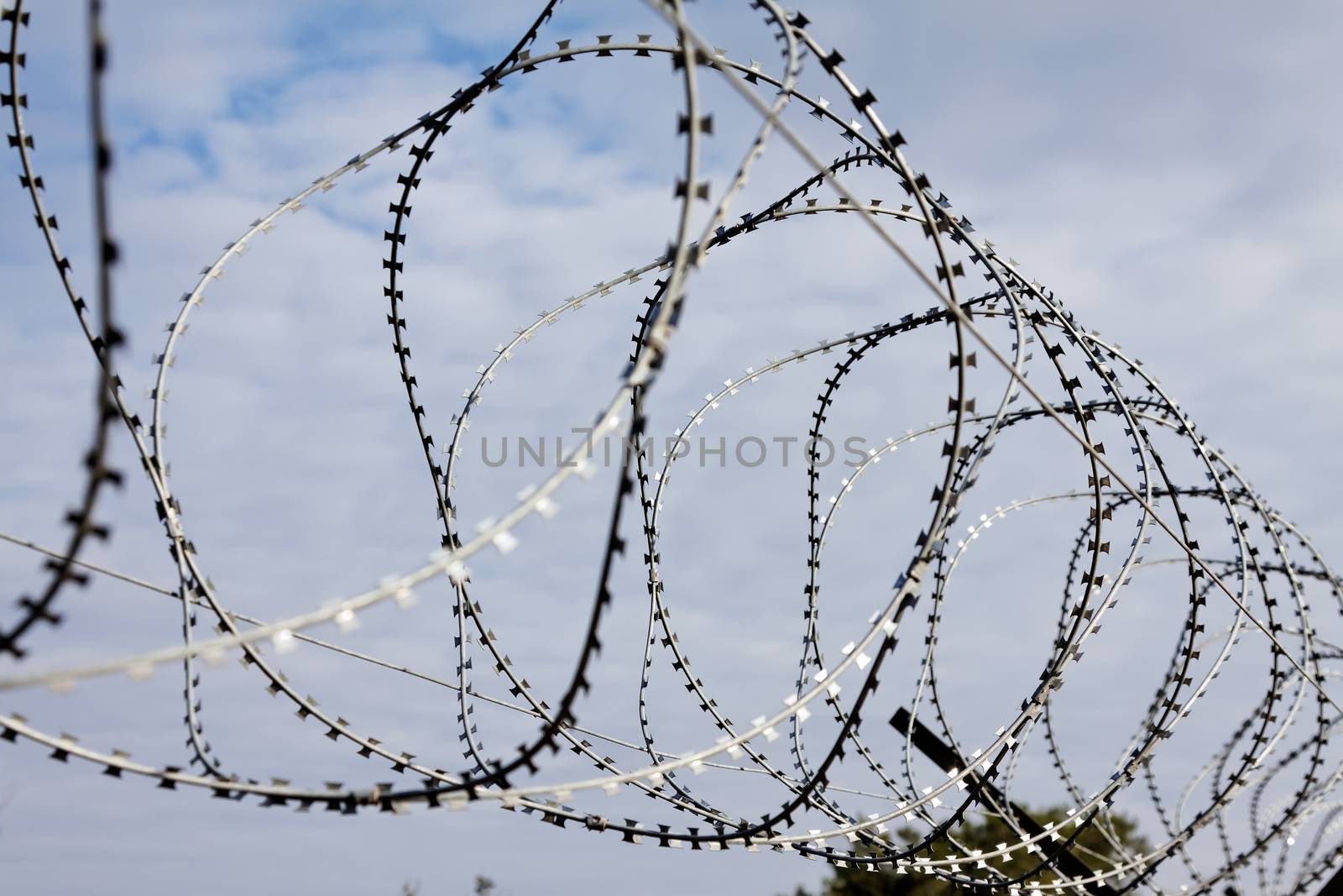 barbed razor wire wheels