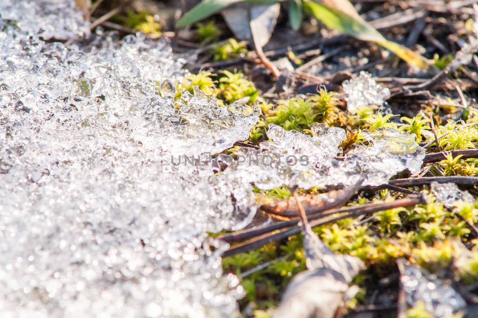 Moss Spring ice by antonius_