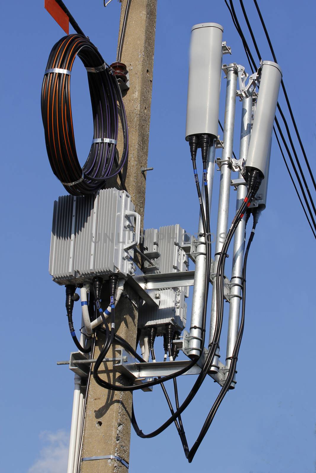 Wires on poles in thailand