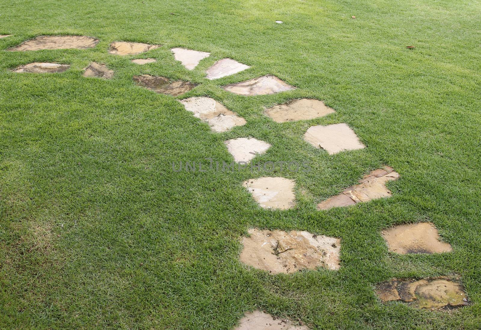 Stone path on green grass in garden 