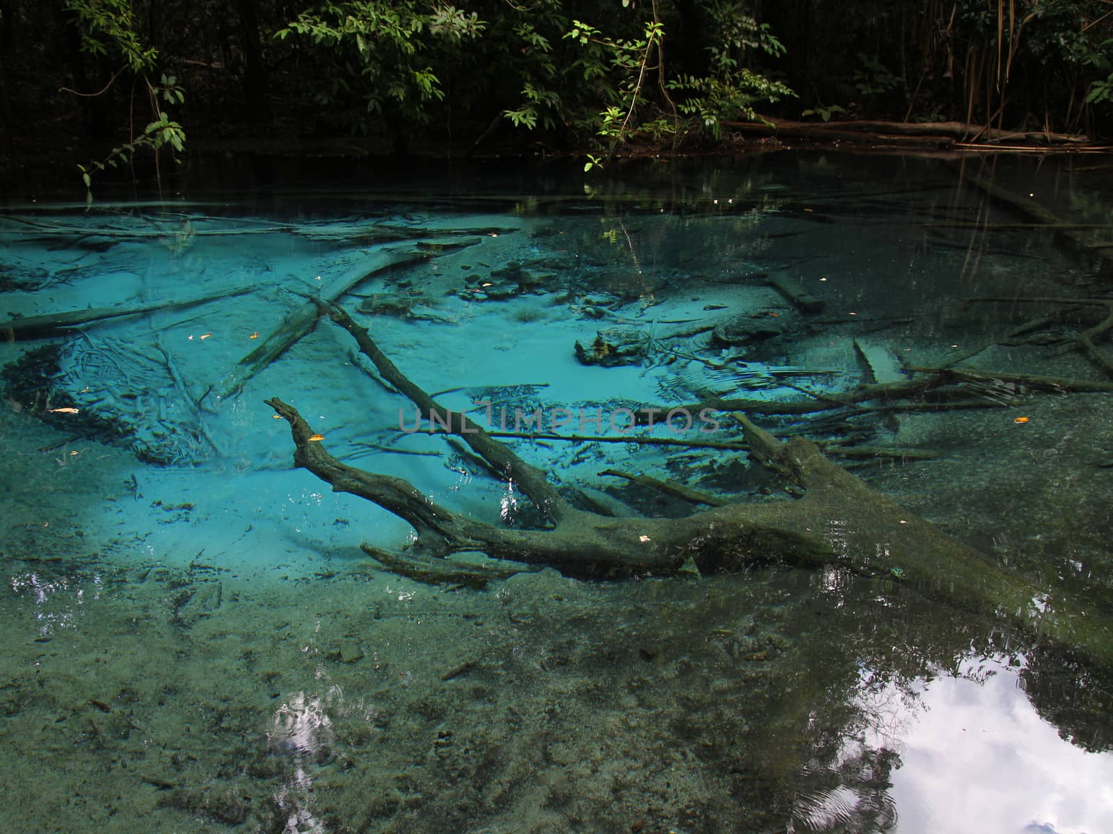 Emerald Pool in krabi ,thailand