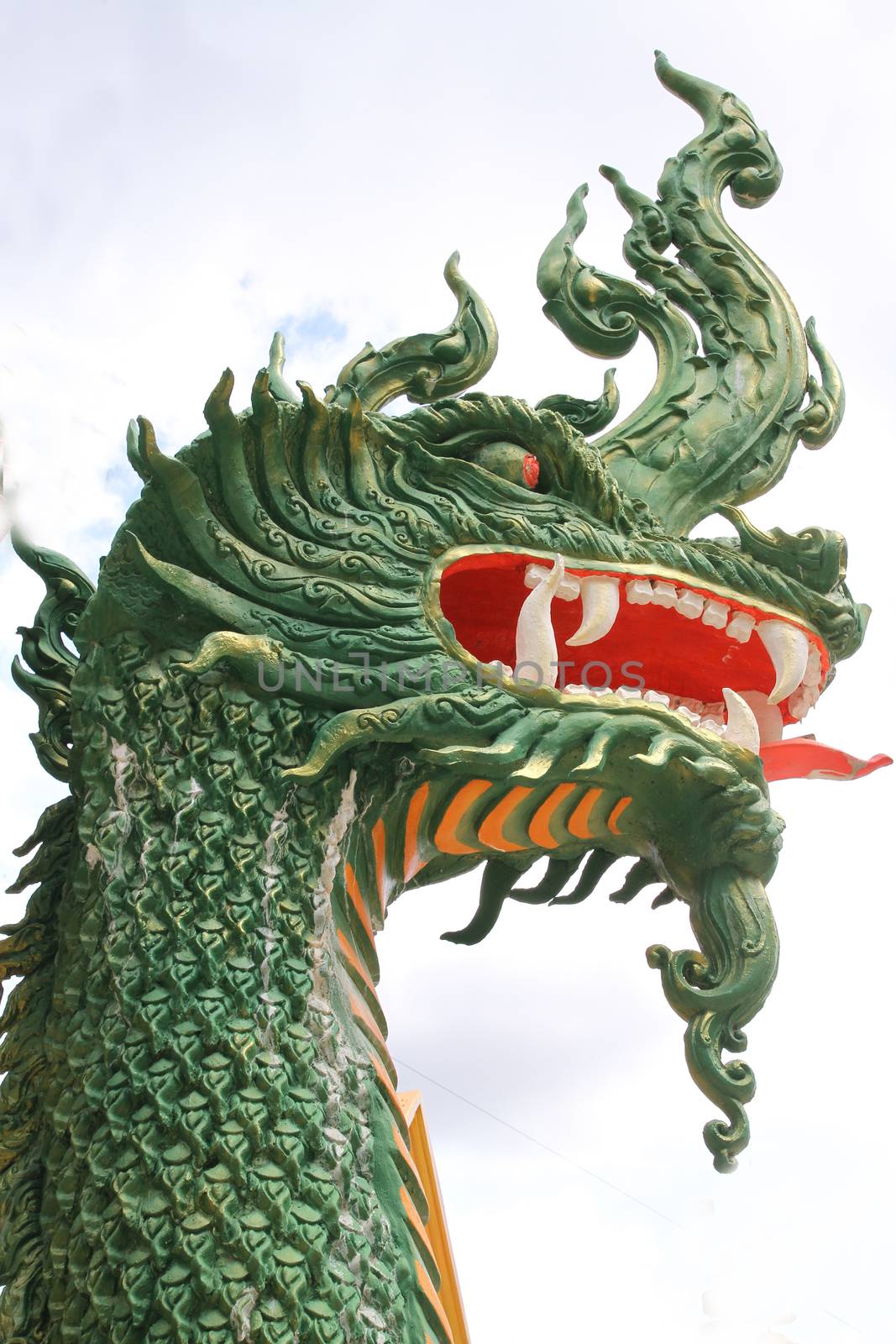 head green dragon in asia