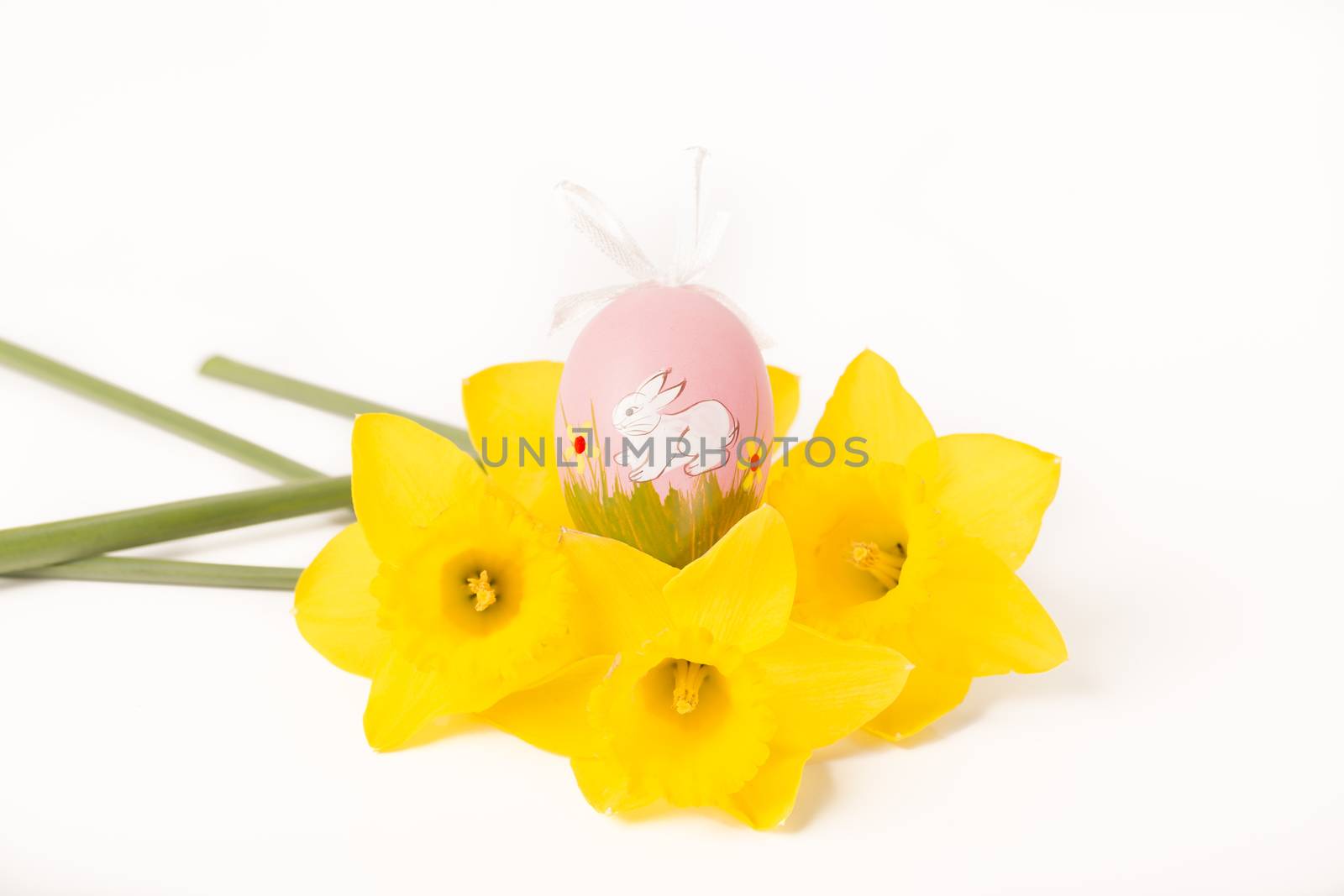 easter egg in spring flowers with background