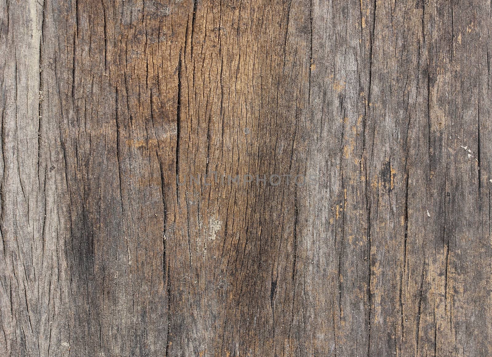 old Wood Texture