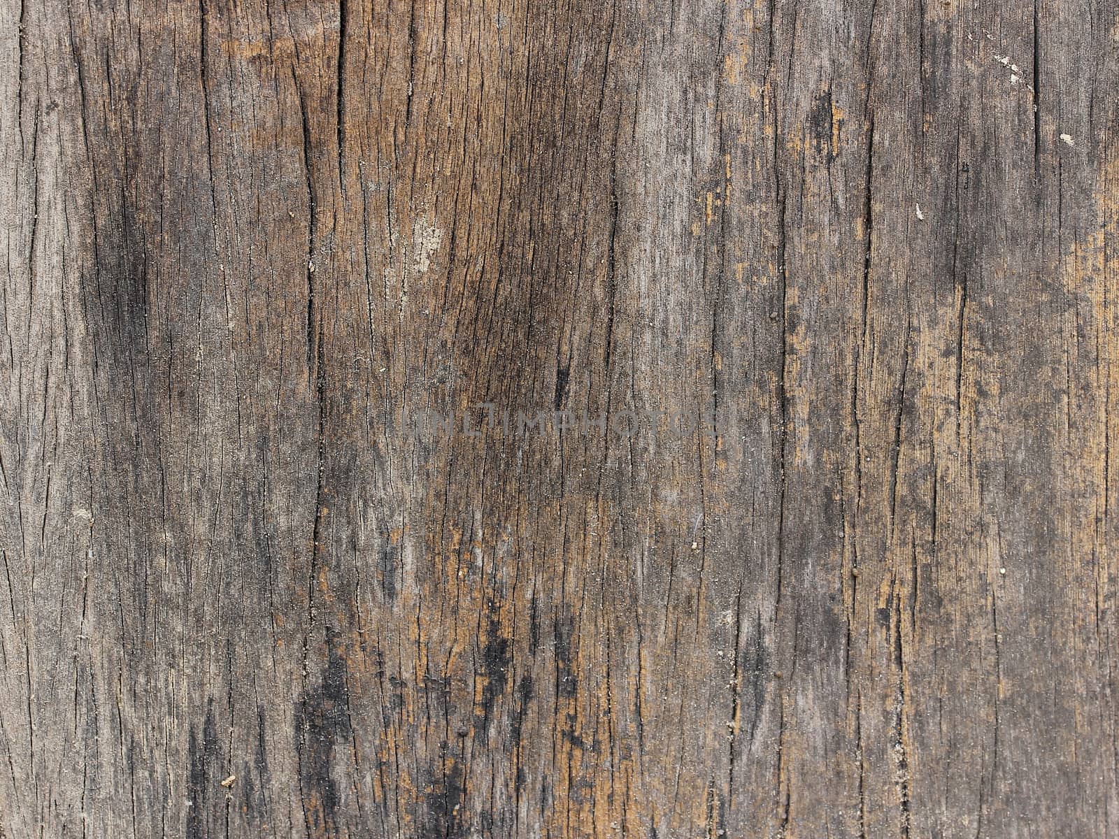 old Wood Texture