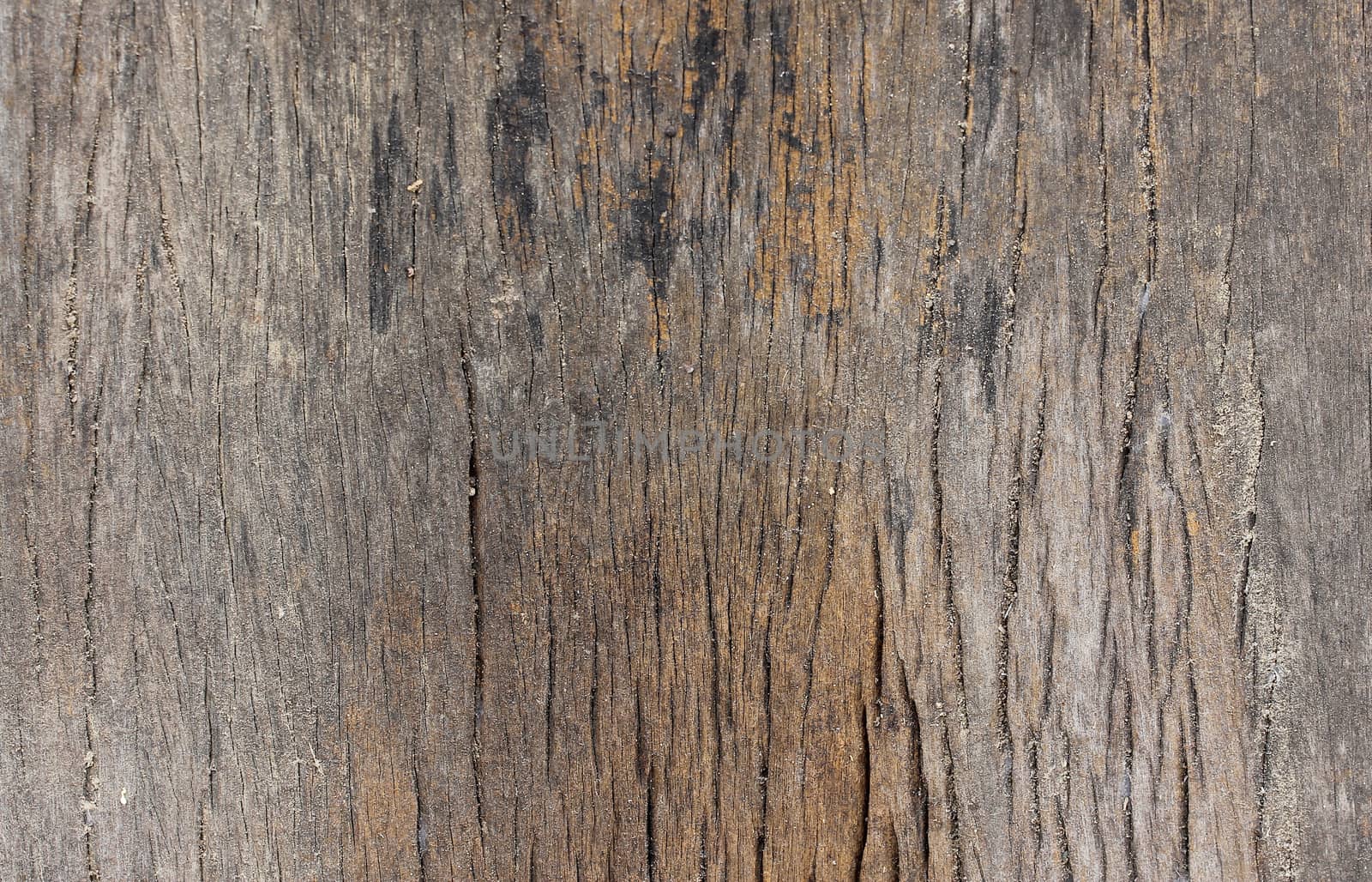 vintage Wood Texture