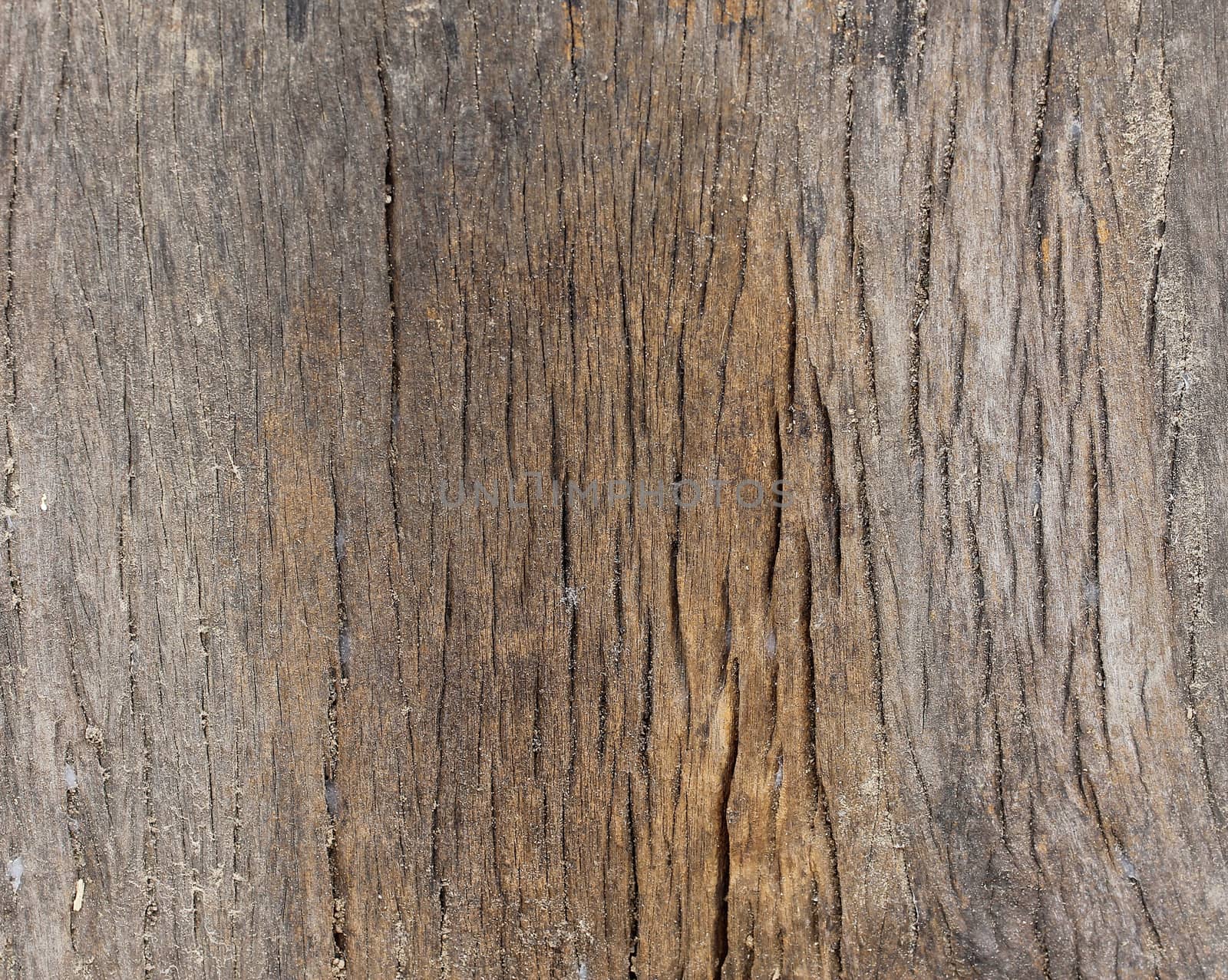 old Wood Texture by pumppump