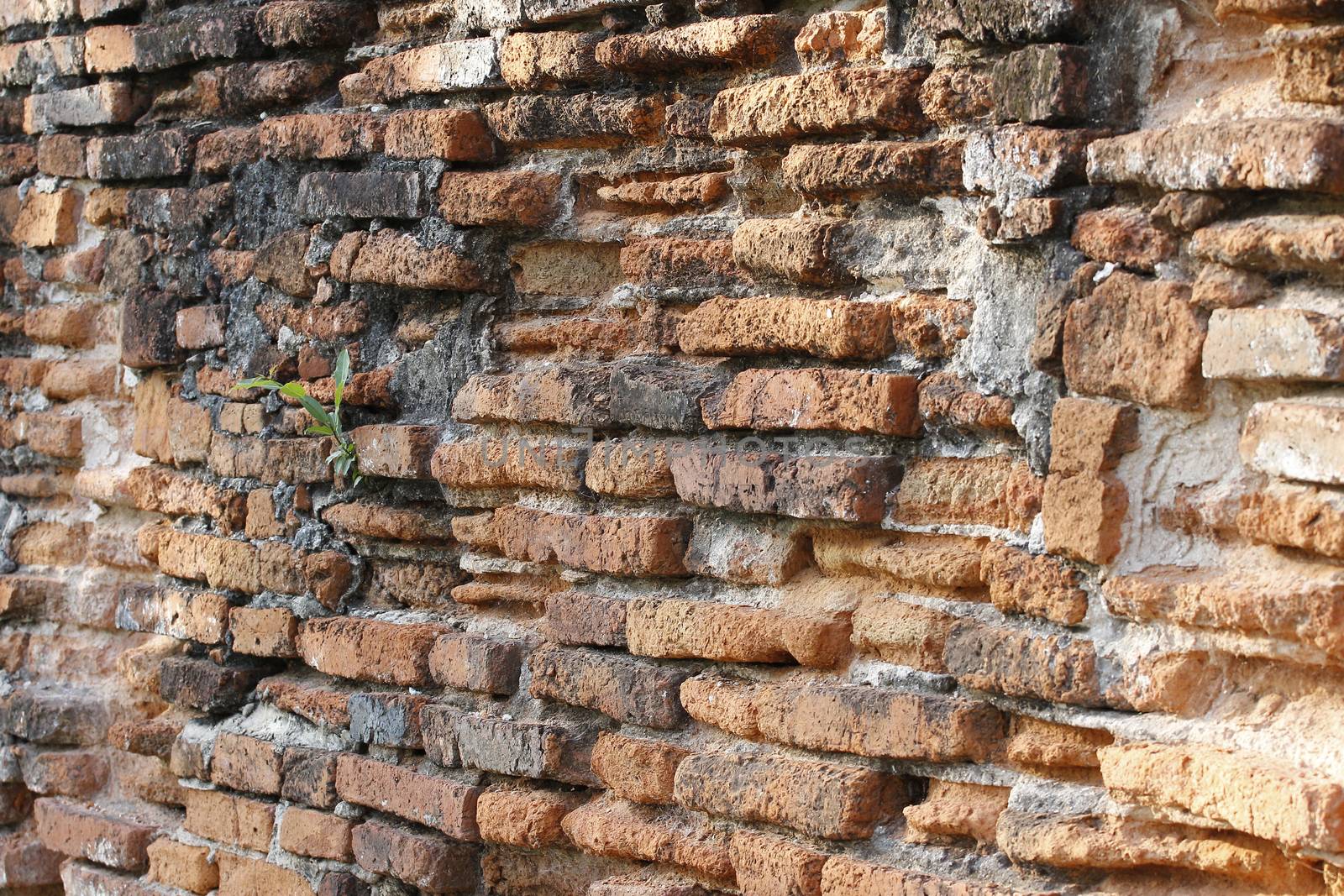 old brick wall background in thailand