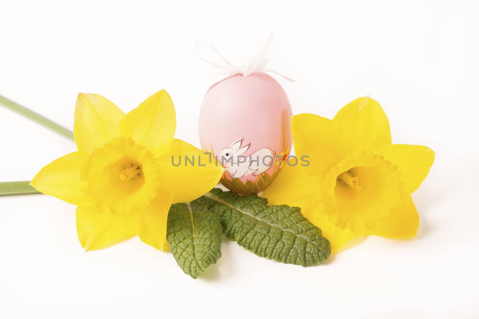 easter egg in spring flowers with background