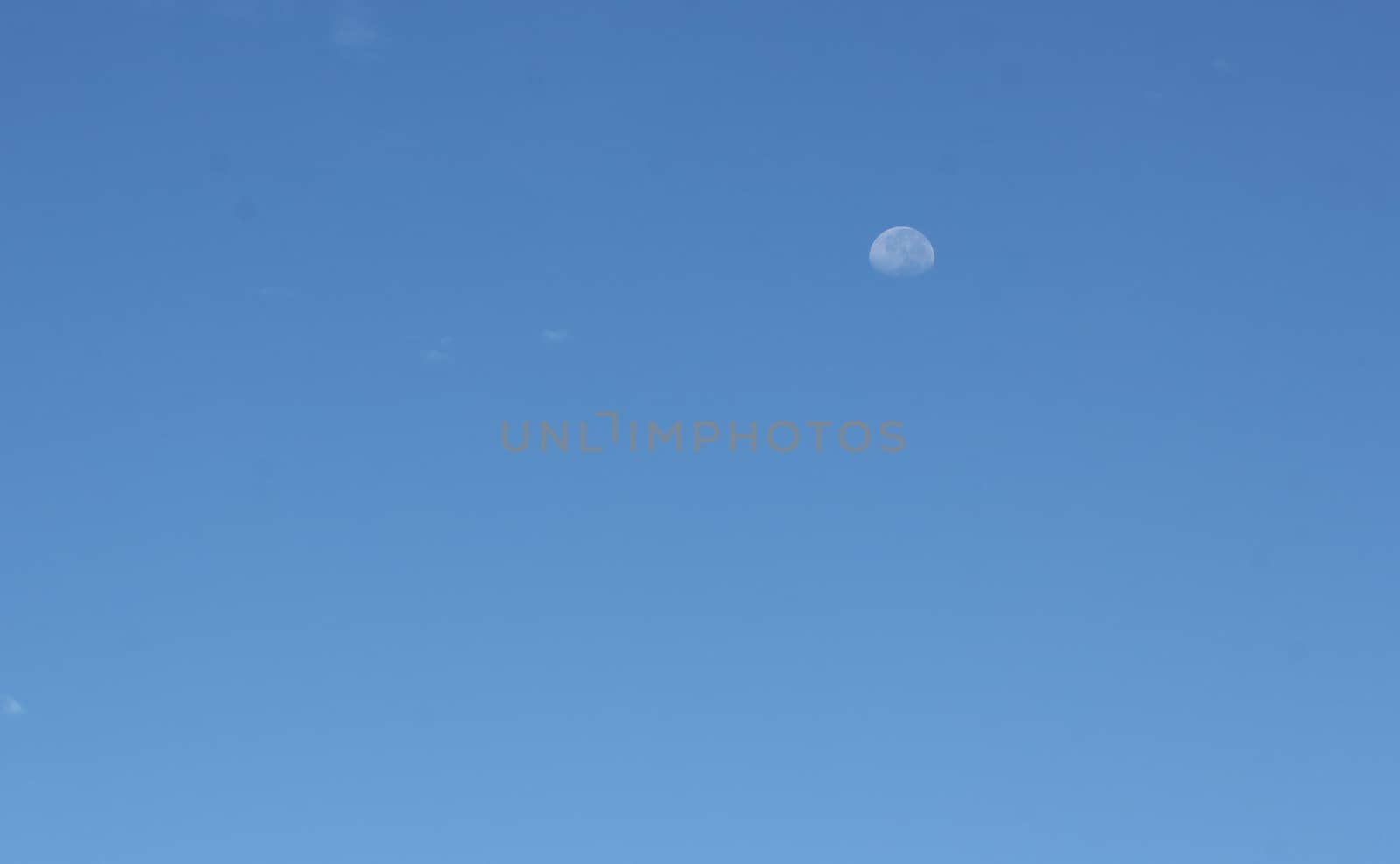moon on the blue sky