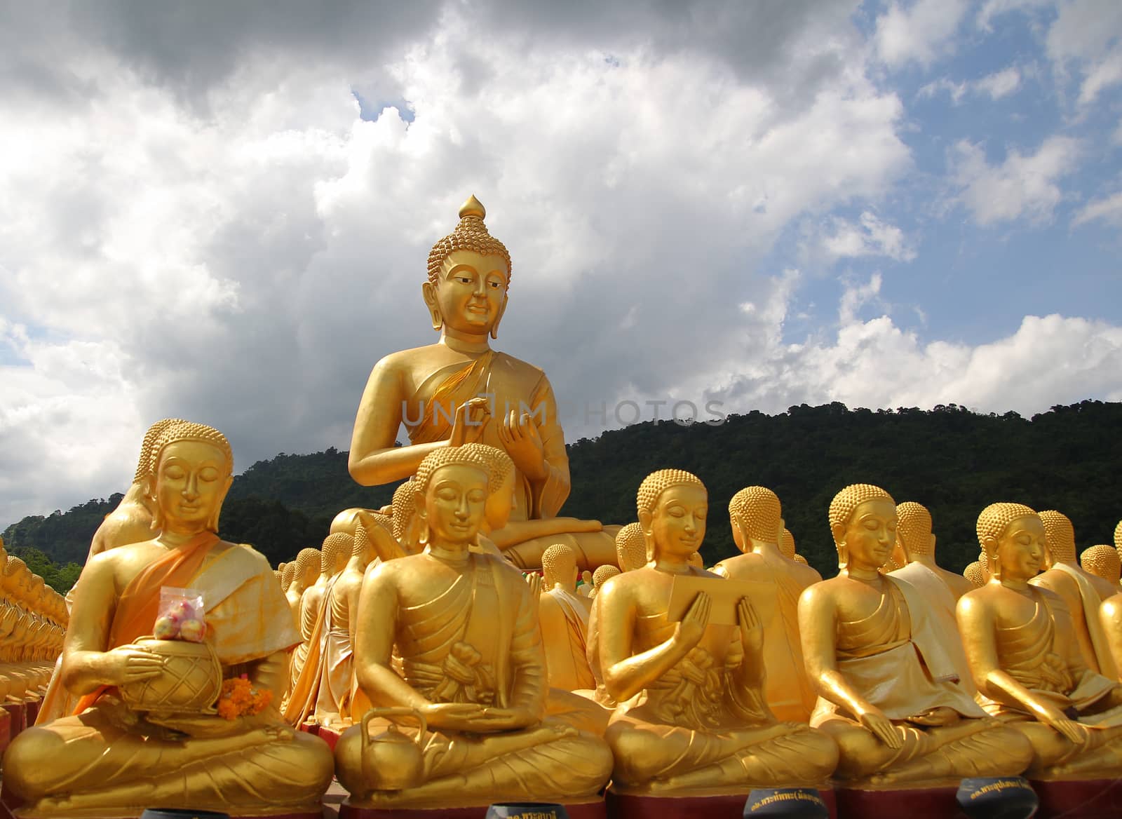 Aligned statues of Buddha