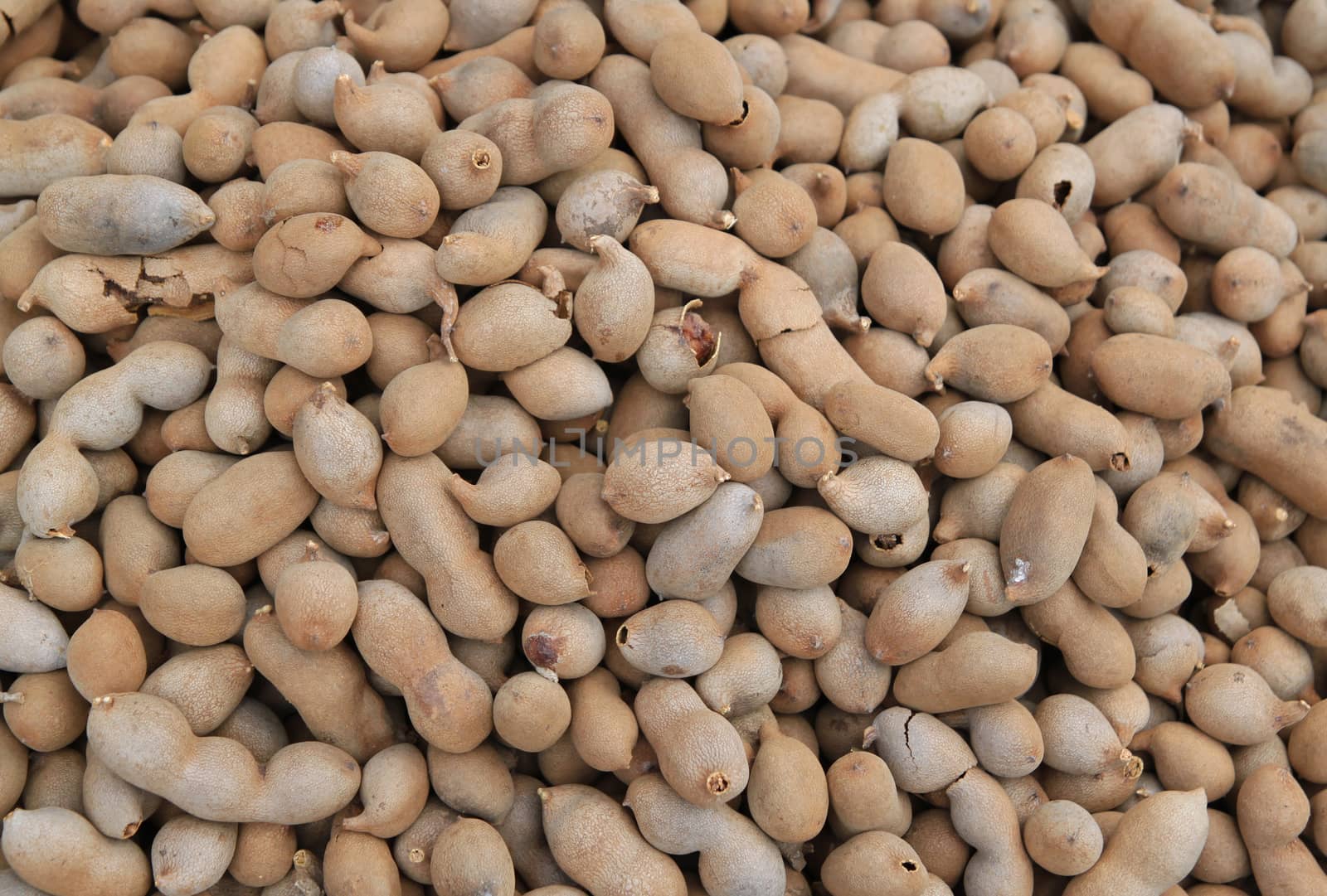 Tamarind