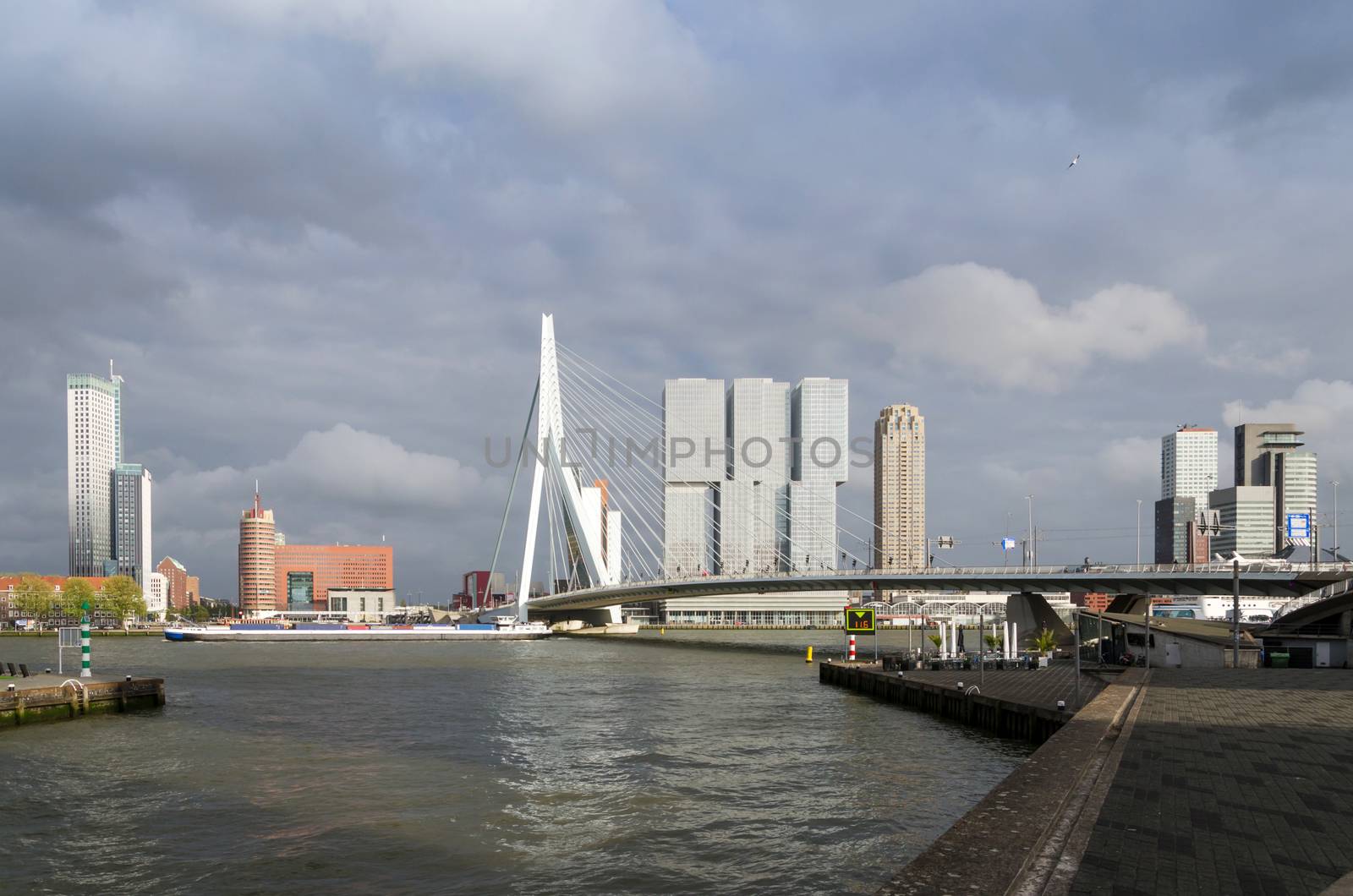 Erasmus Bridge with Skyscraper in Rotterdam by siraanamwong