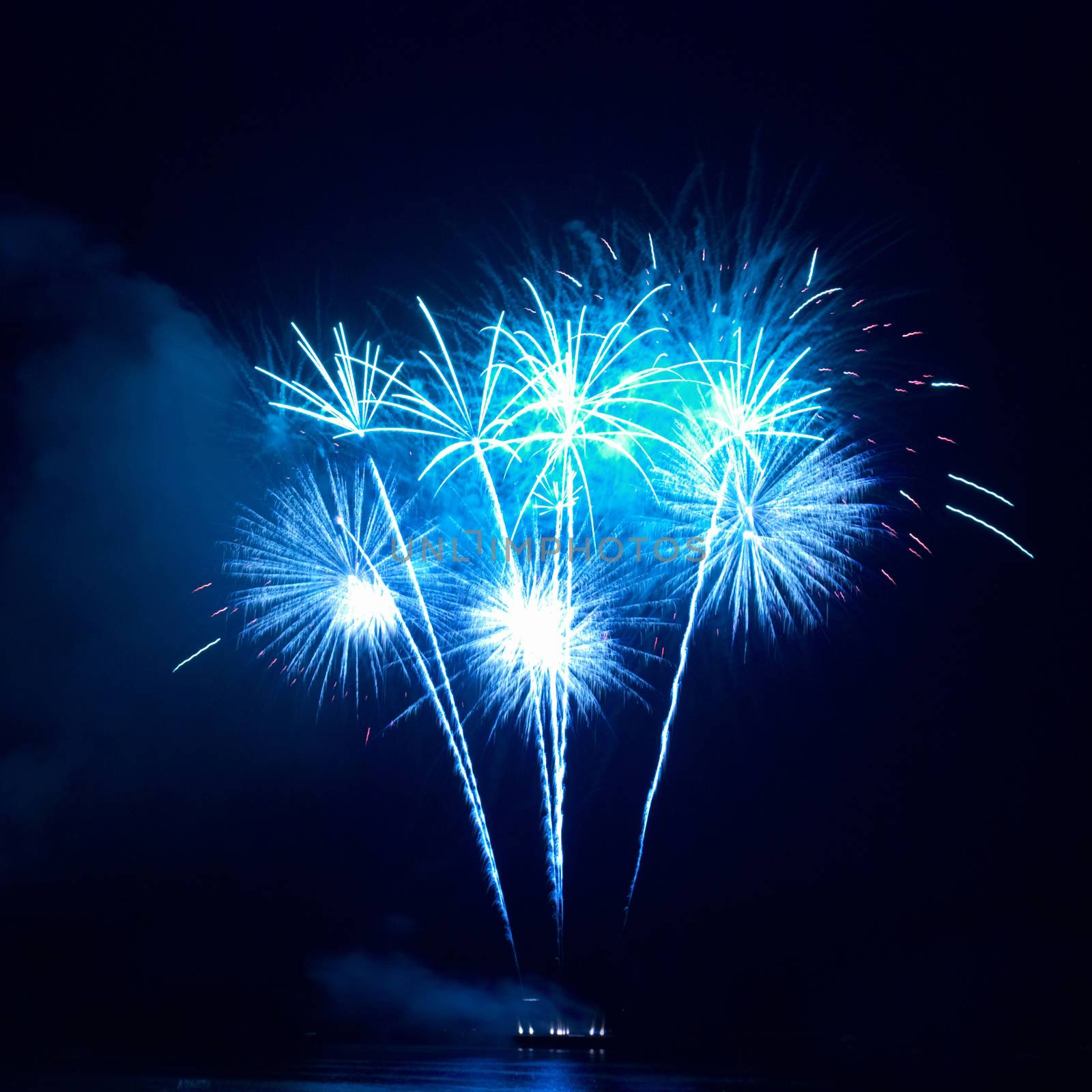 Colorful fireworks on the black sky background