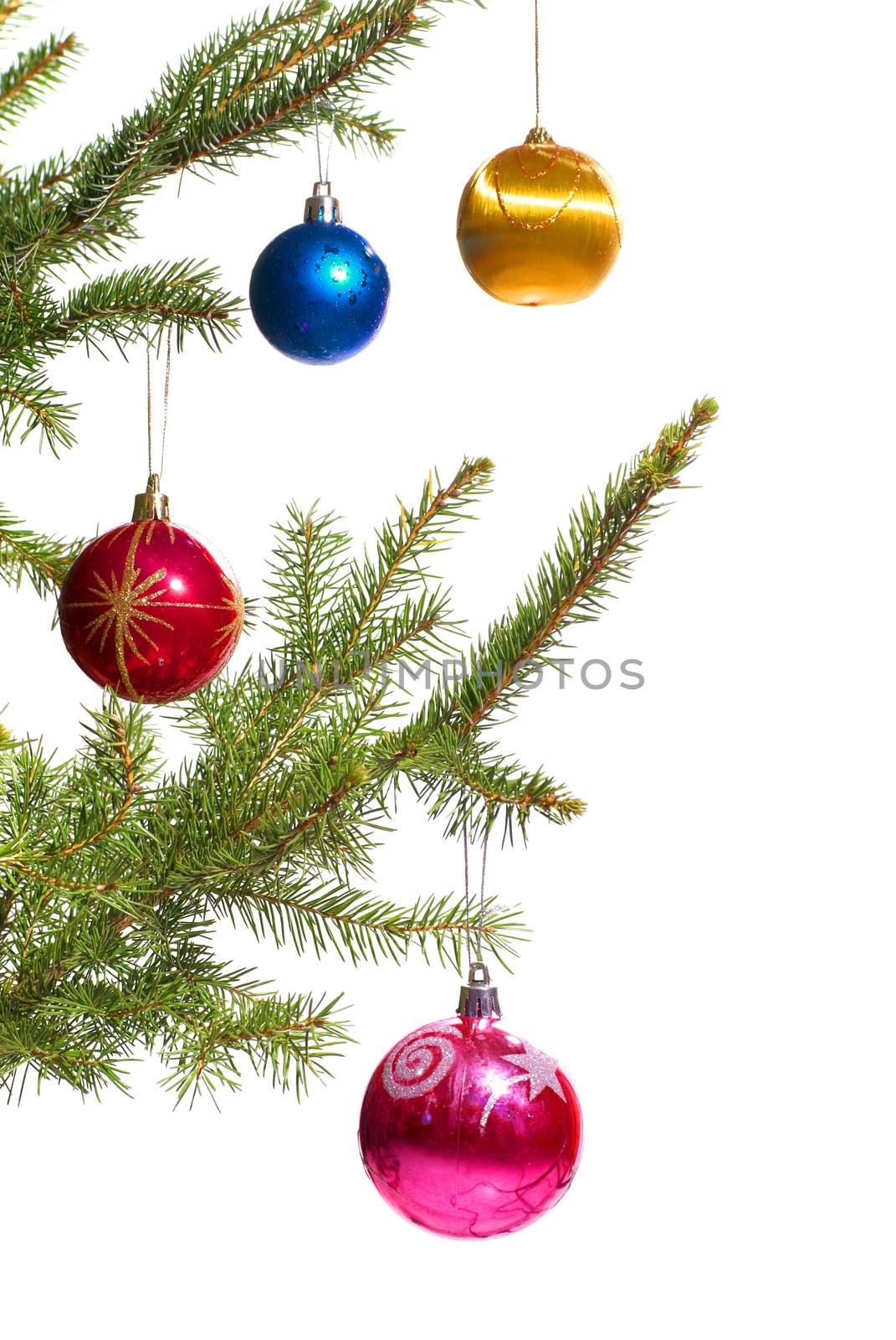 Christmas decoration isolated on the white background