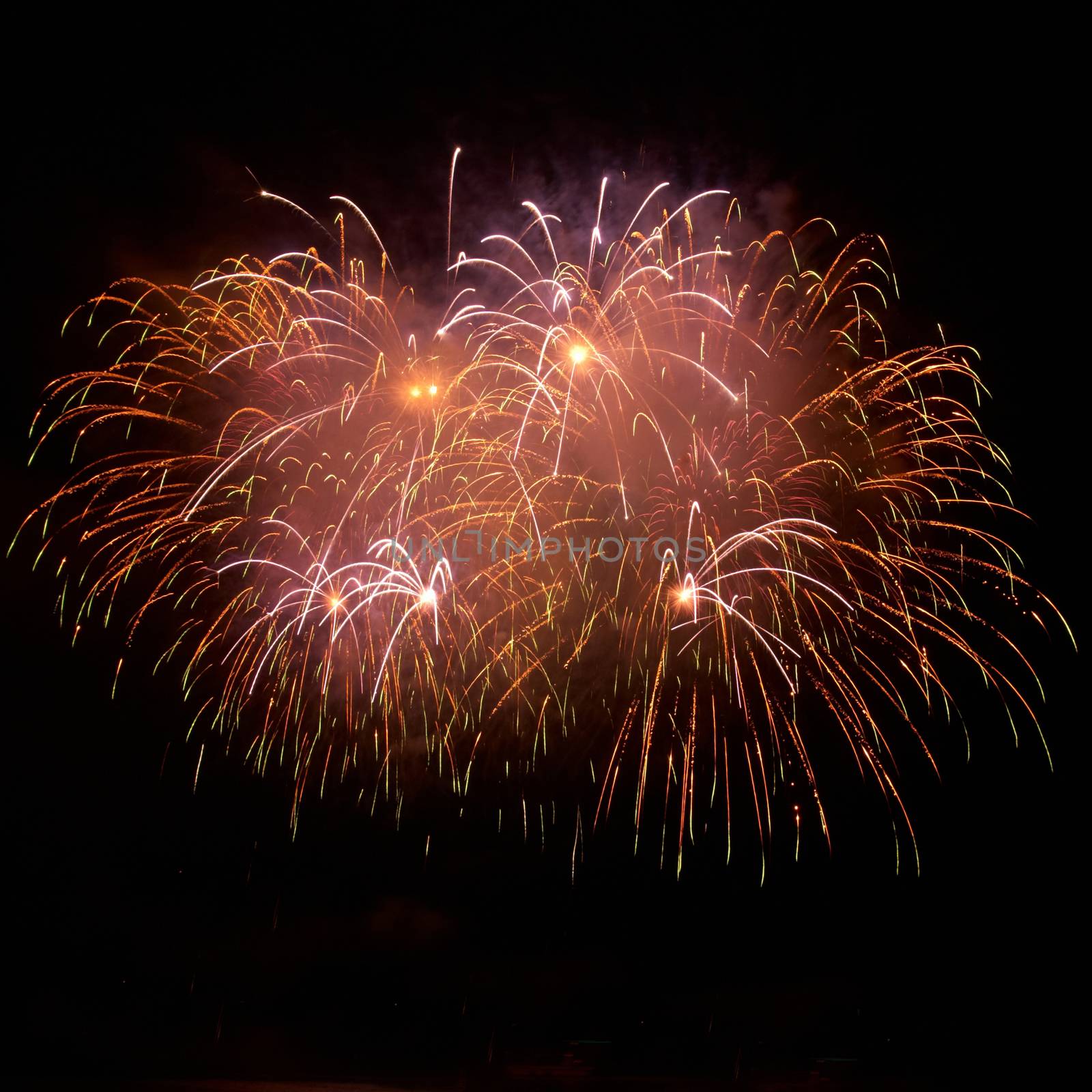 Colorful fireworks on the black sky background