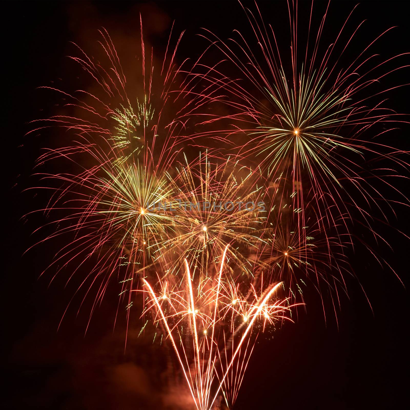 Colorful fireworks on the black sky background