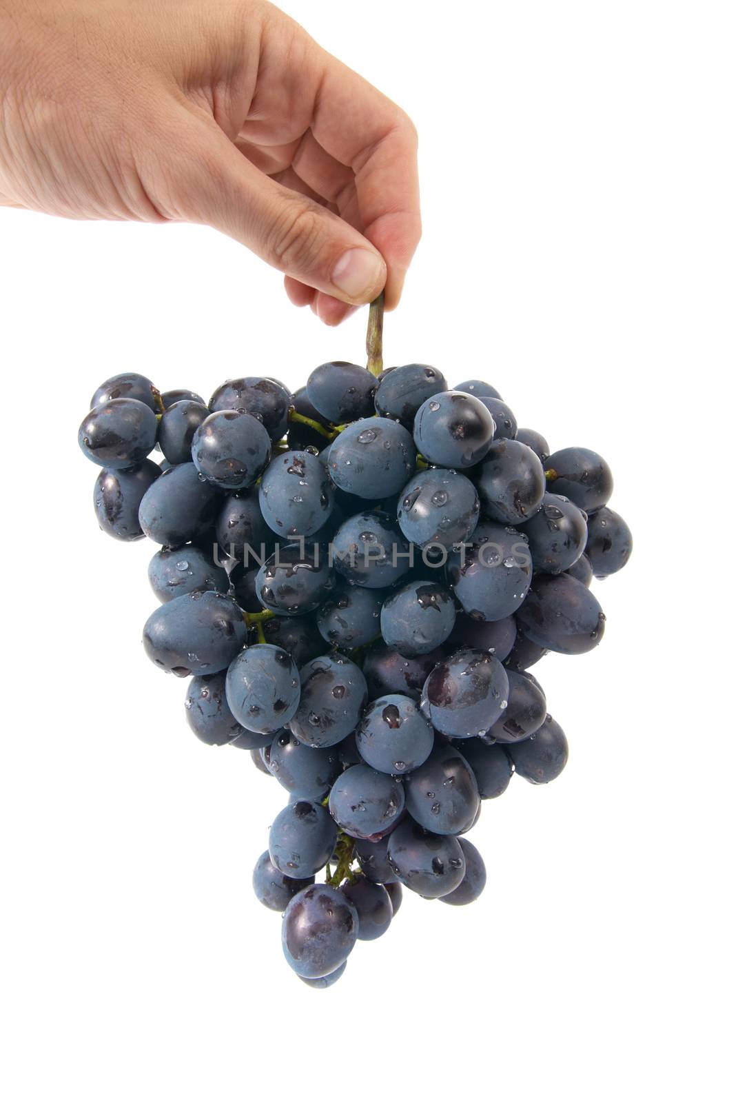 Bunch of red grapes in the hand isolated on white