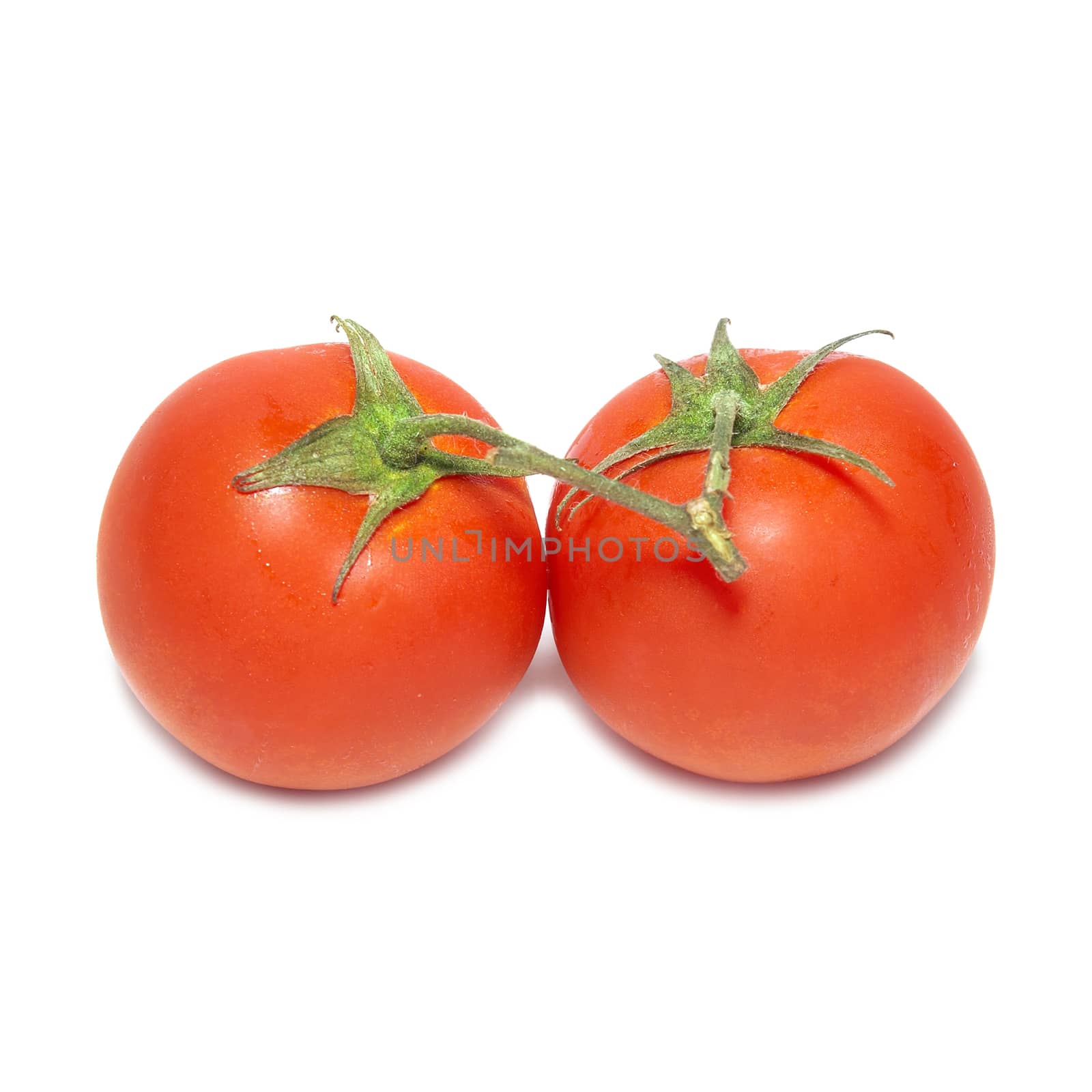 Two red tomatoes with water drops isolated on white background