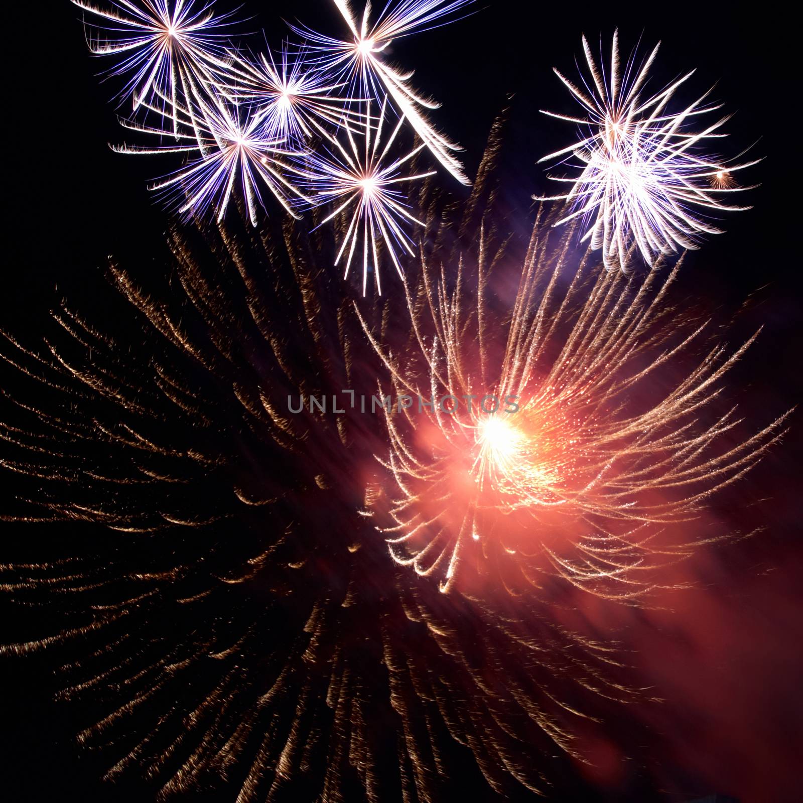 Fireworks, salute with the black sky background