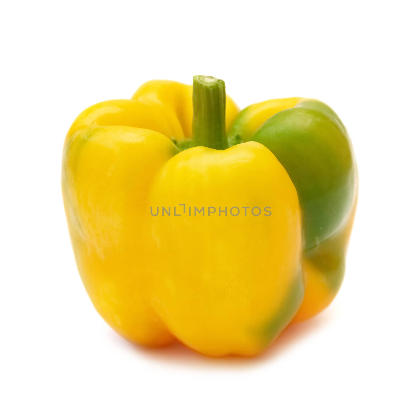 Yellow pepper paprica (capsicum frutescens) isolated on white background