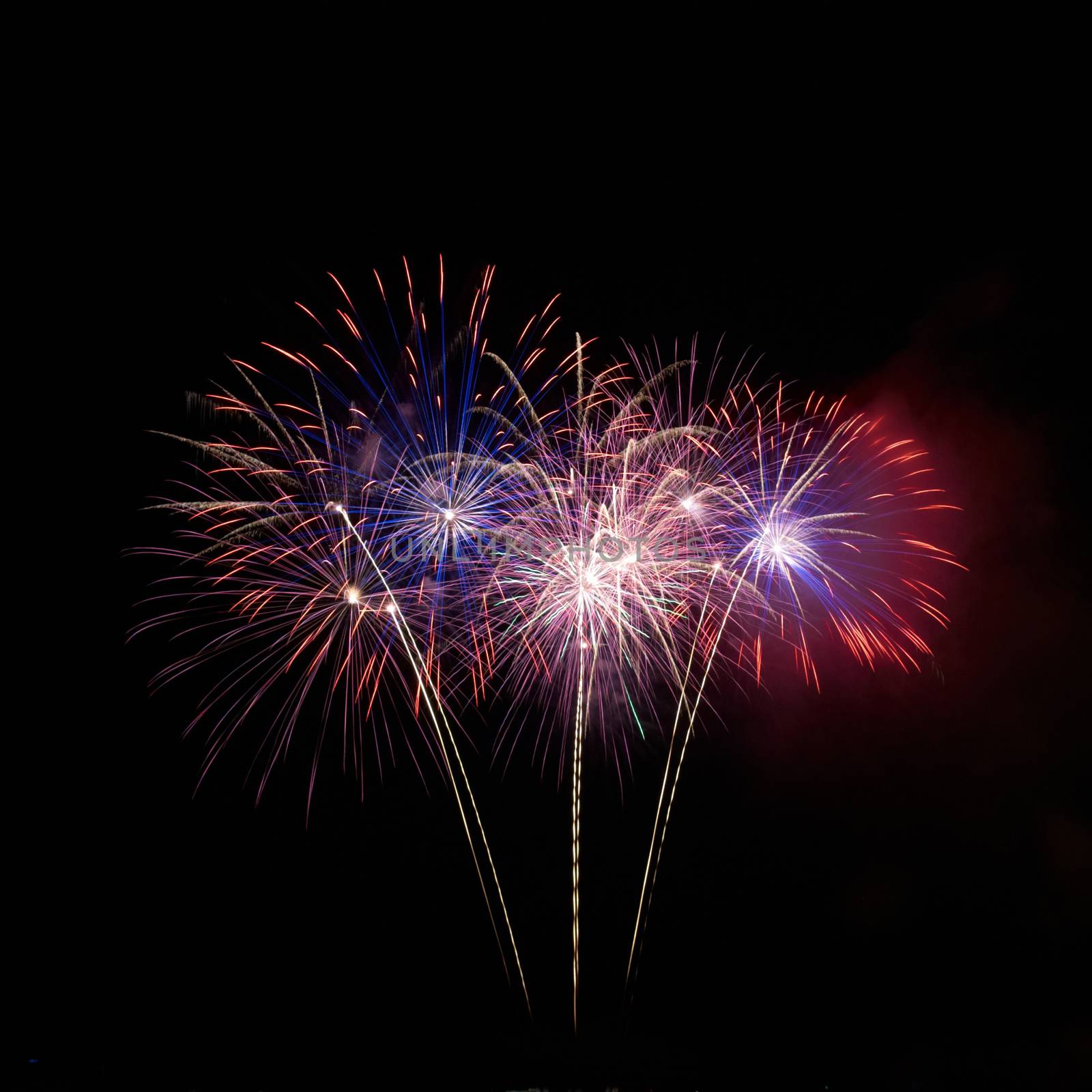 Colorful fireworks on the black sky background