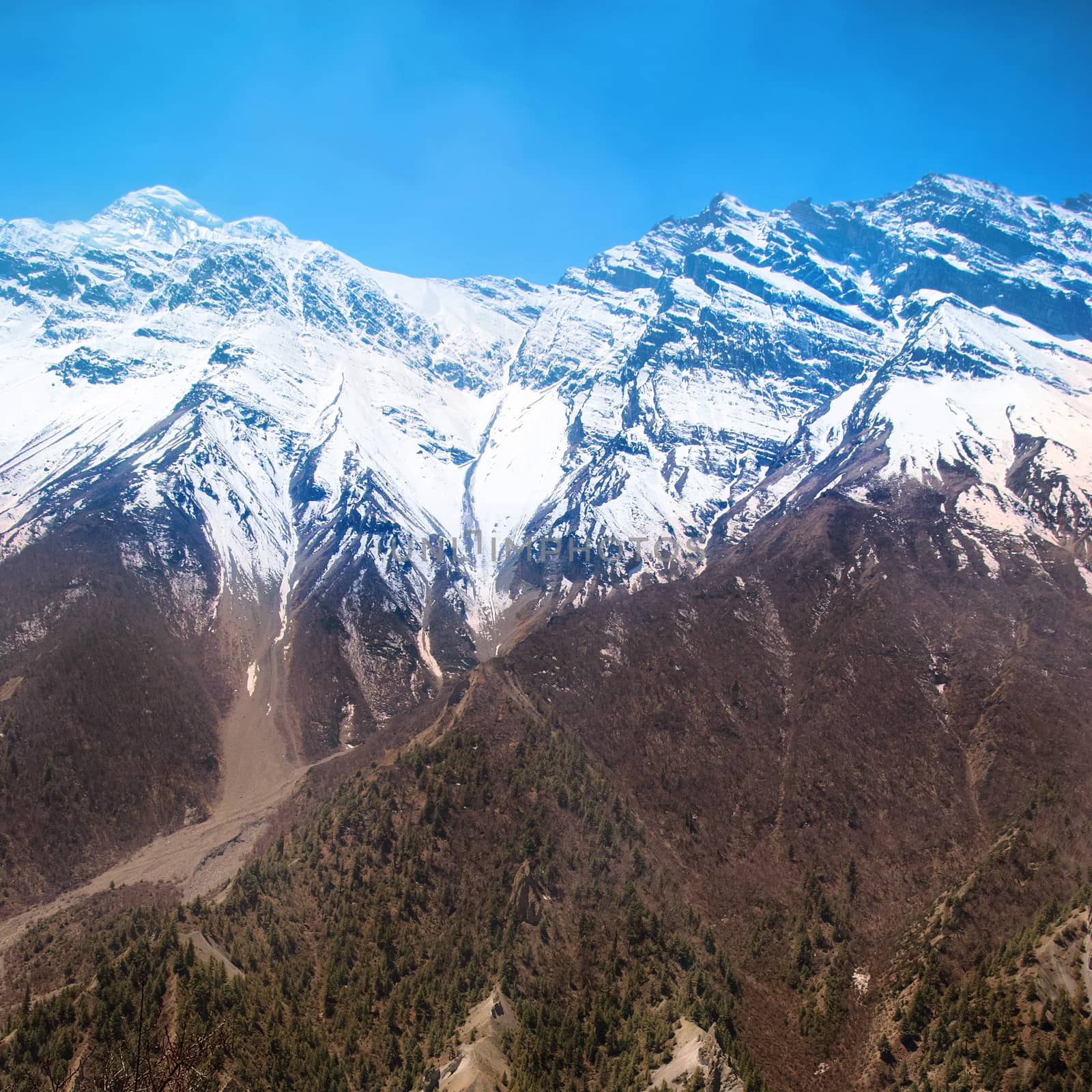 Snowy Tibetan mountains, view from Annapurna trek