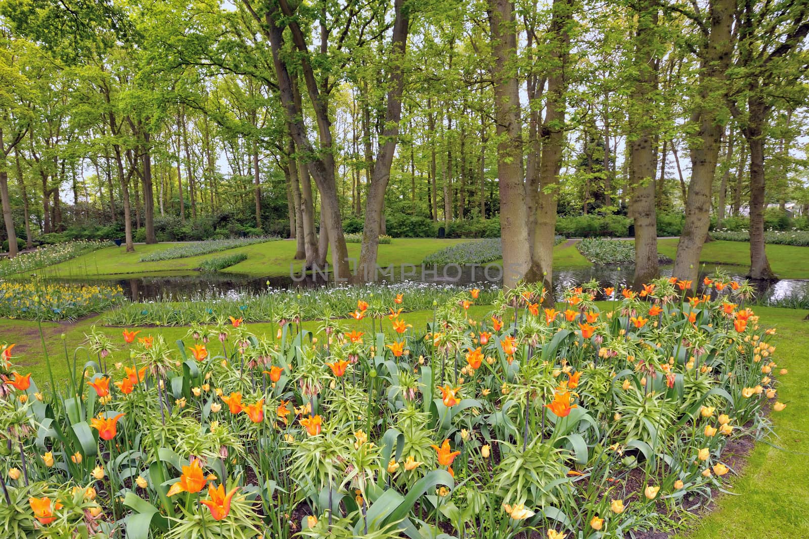 Garden in Keukenhof in spring time