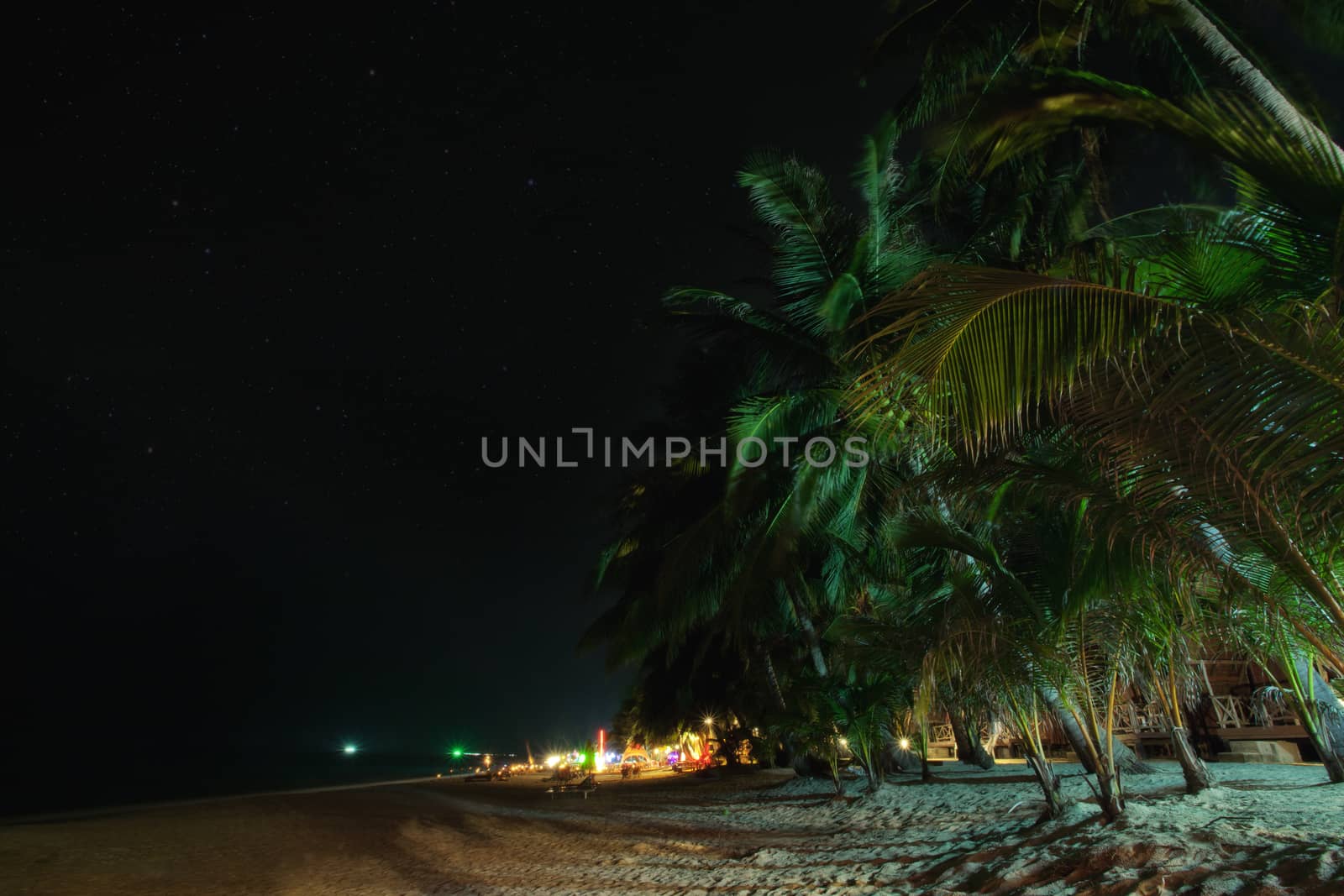 View of nice tropical  beach  with some palms around at night time