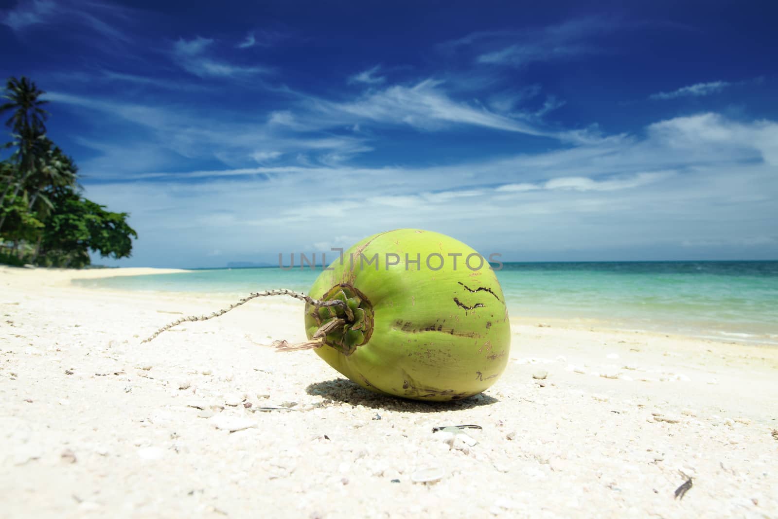 View of nice tropical  beach  with coconut close up