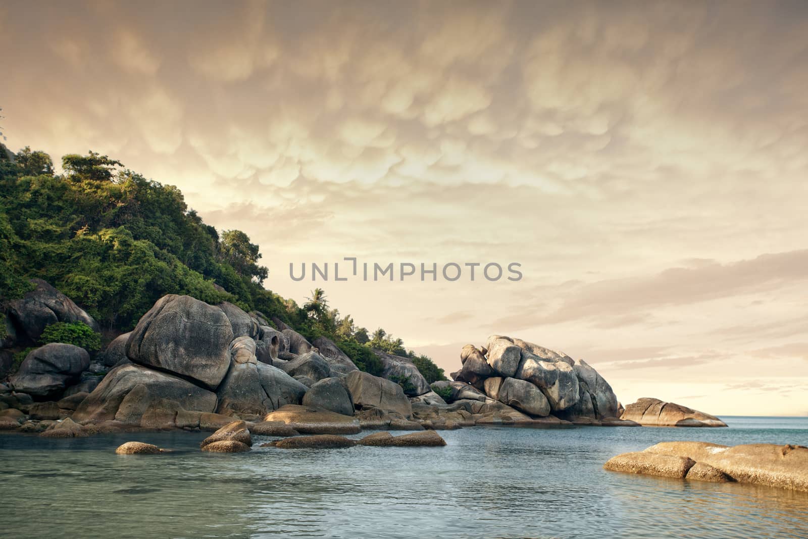 view of nice tropical shore  during  colorful  sunset