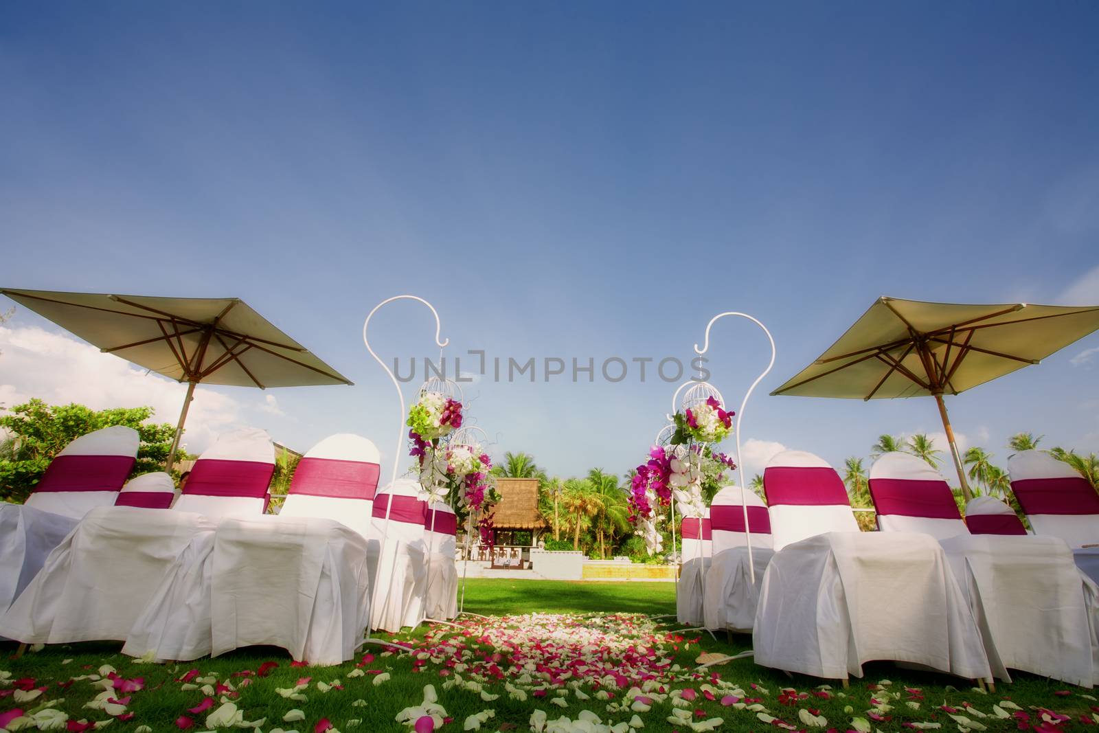 fragment like view of nice chairs ready for wedding ceremony