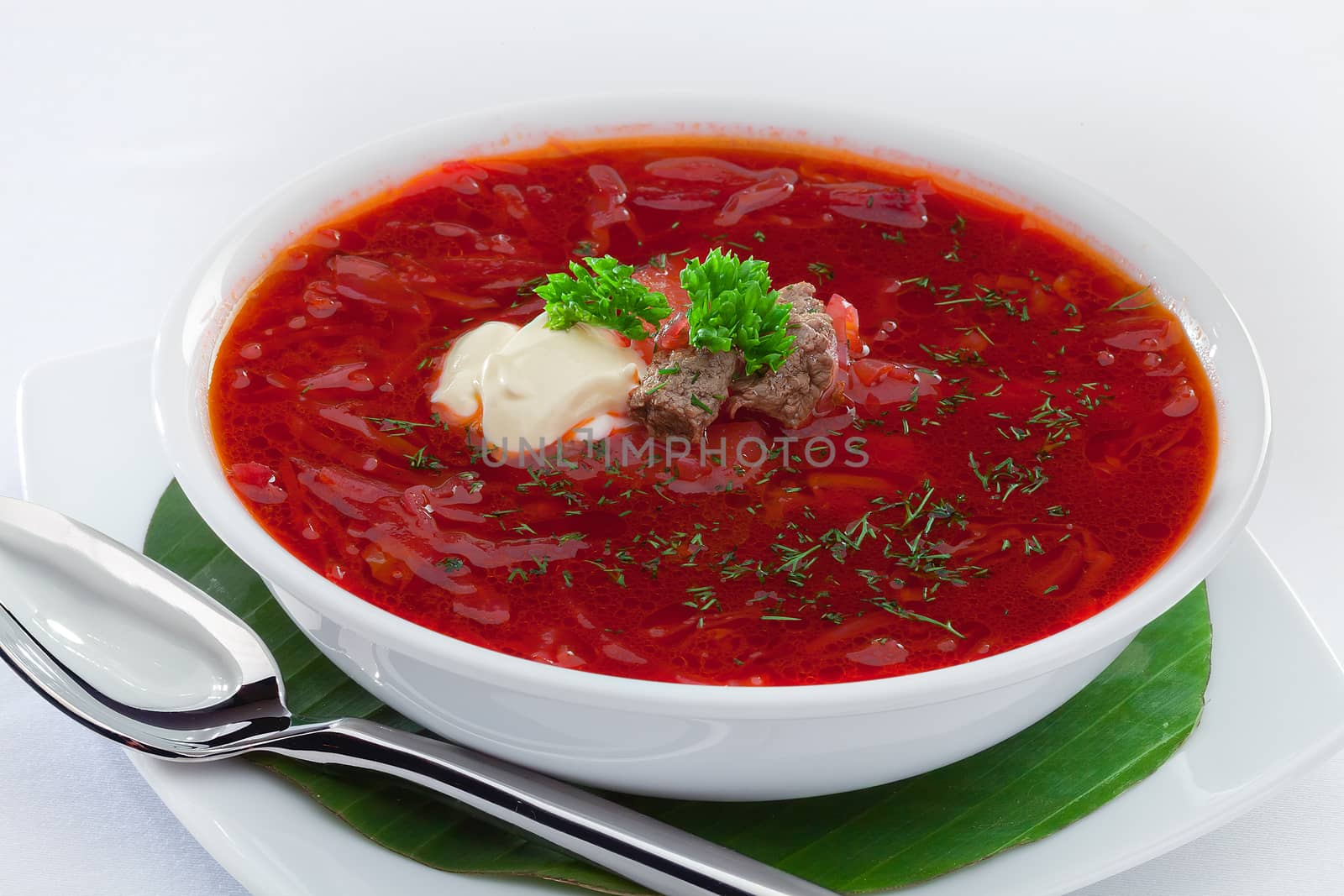close up view of nice delicious russian  soup  on white back