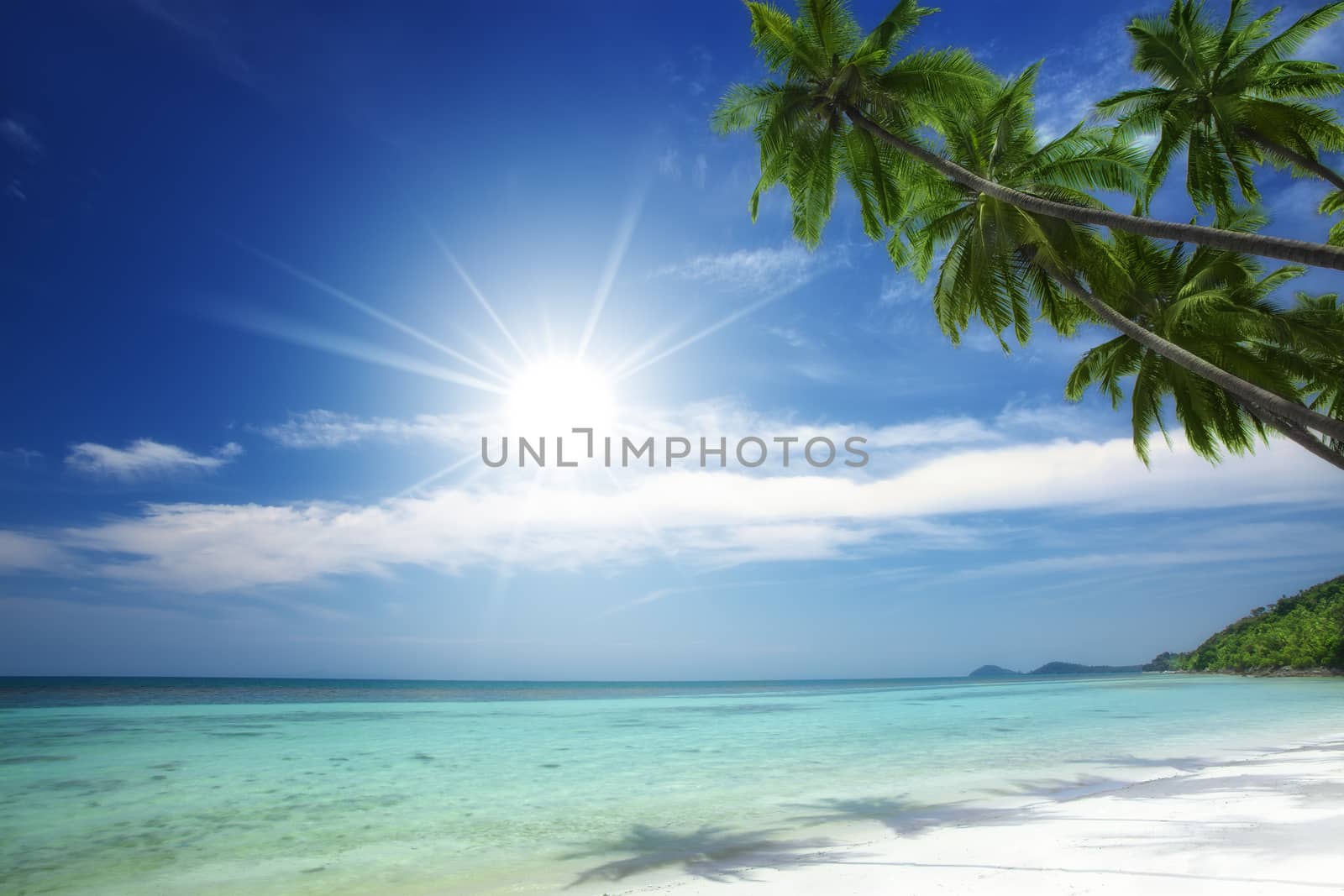 View of nice tropical  beach  with some palms around