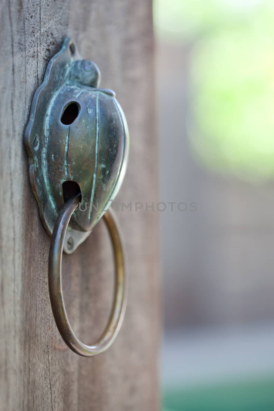 close up view of nice brass handle on color back