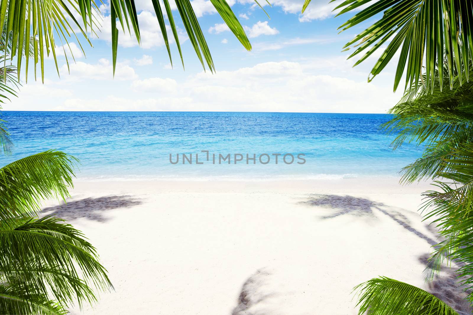 View of nice tropical  beach  with some palms around