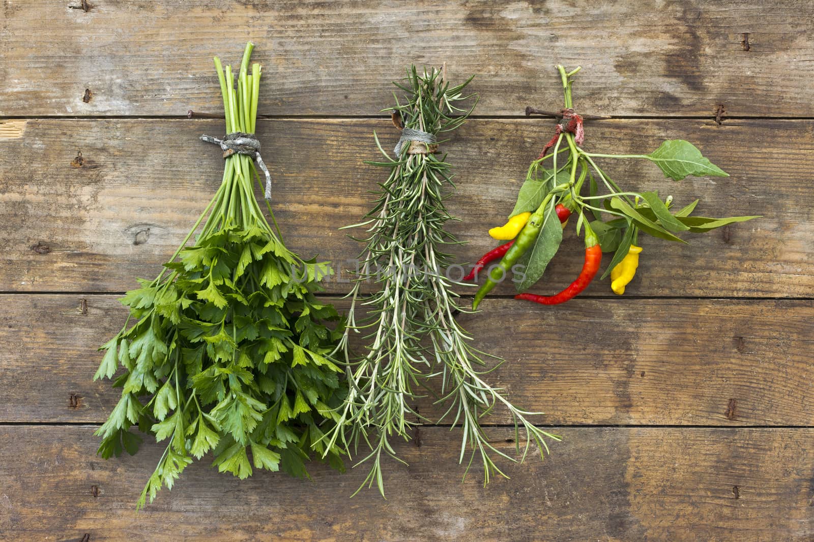 Parsley, rosemary, hot peppers,a bunch of each by Kidza