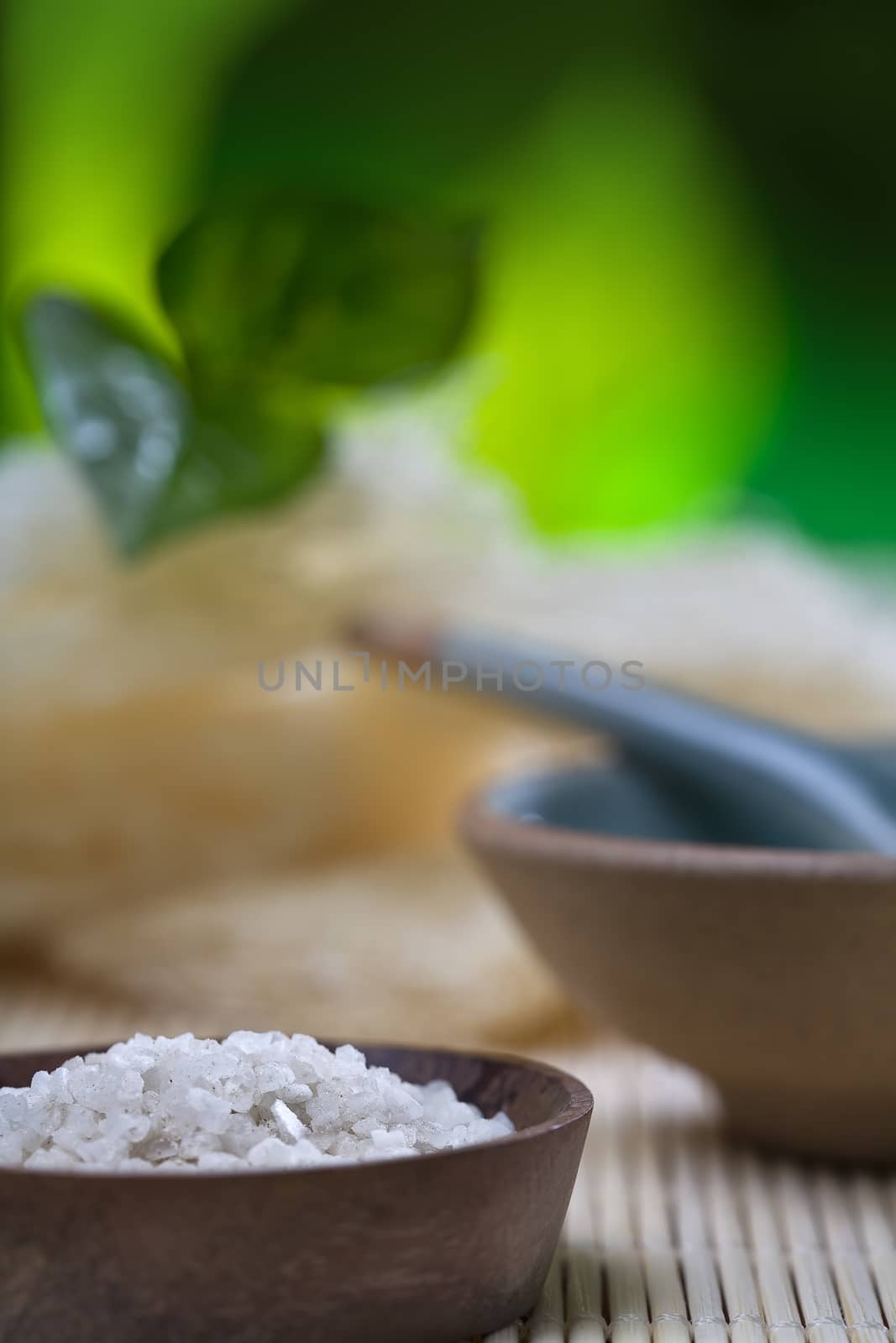 Close up view of spa theme objects on natural background