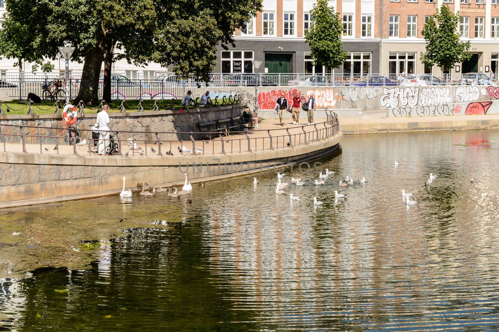 Copenhagen, Denmark - August 05, 2015 : the lakes in Copenhagen, Denmark is a row of 3 rectangular lakes curving around the western margin of the City centre, forming one the oldest and most distinctive features of the city's topography. The paths around them are popular with strollers and runners. Copenhagen, Denmark.