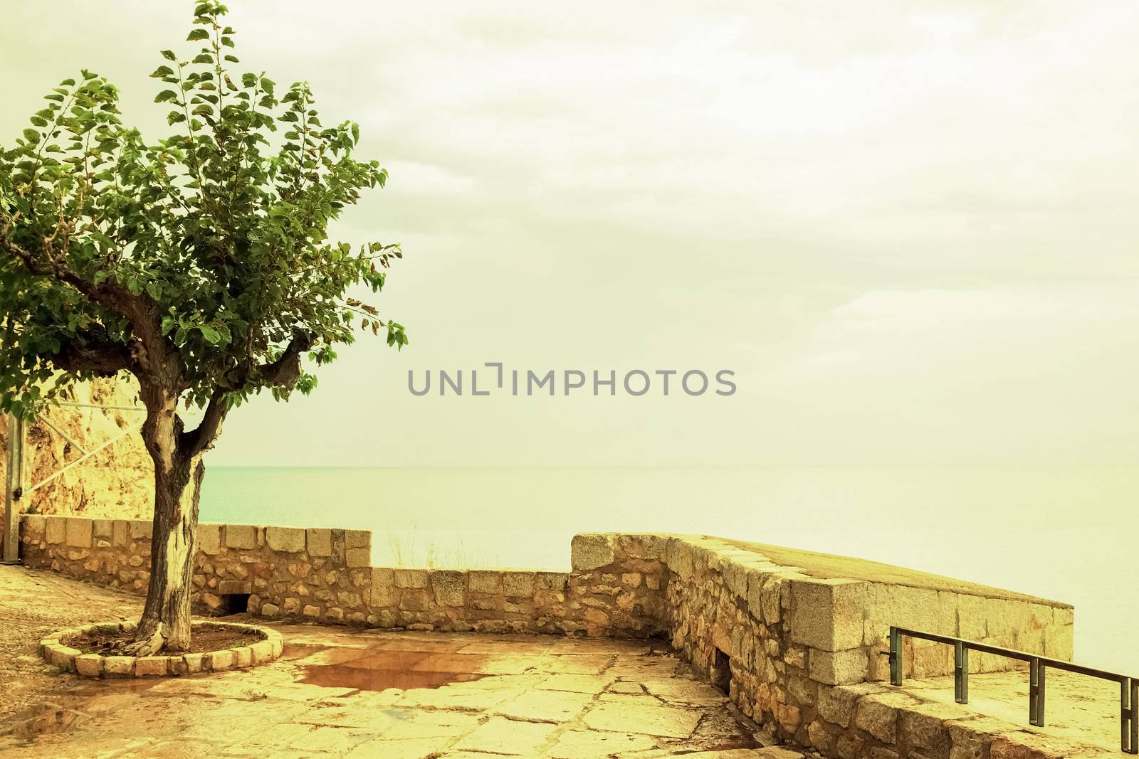 Seafront in Peniscola, Spain by anikasalsera