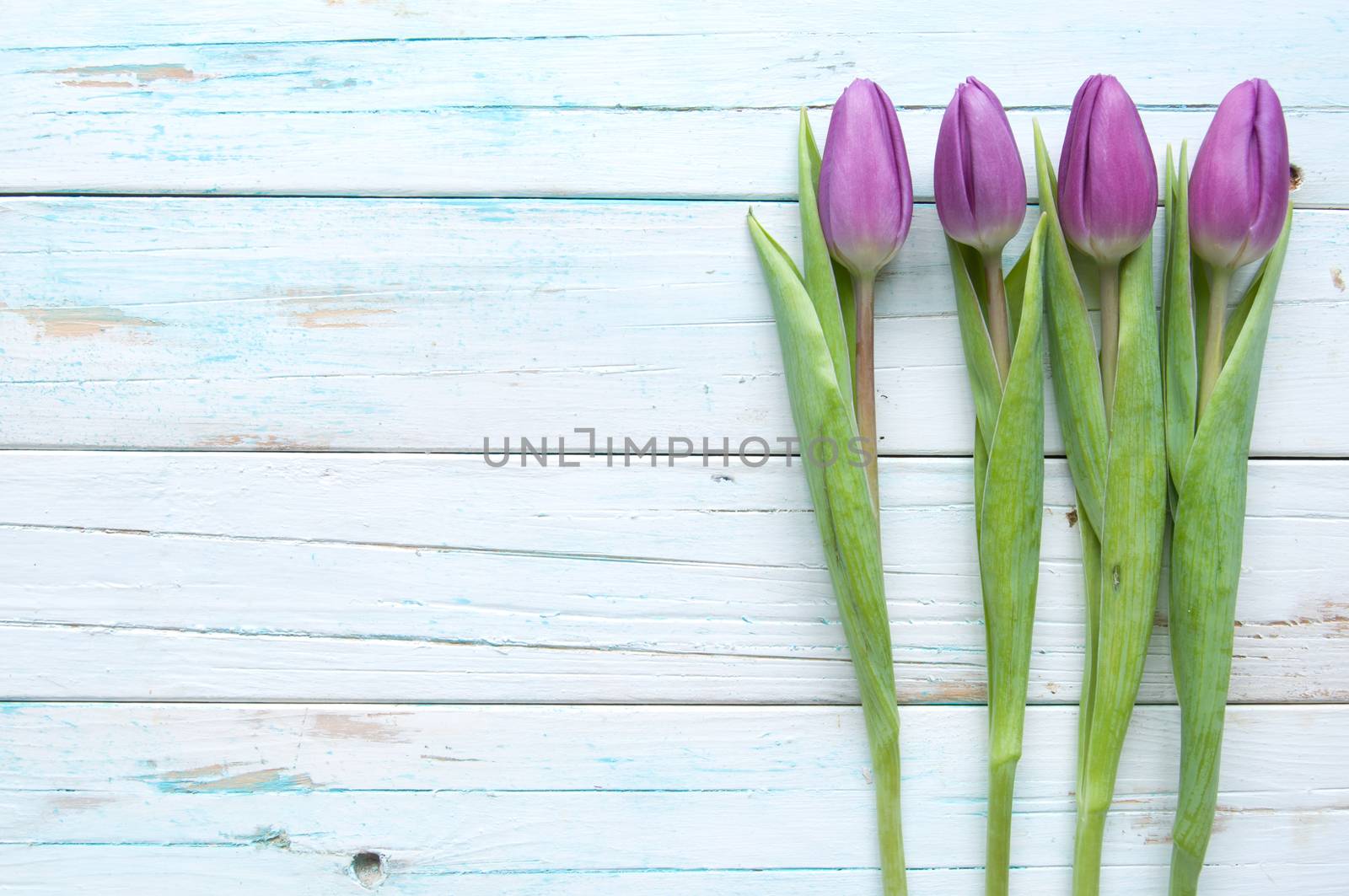 Spring tulips on wooden background with space