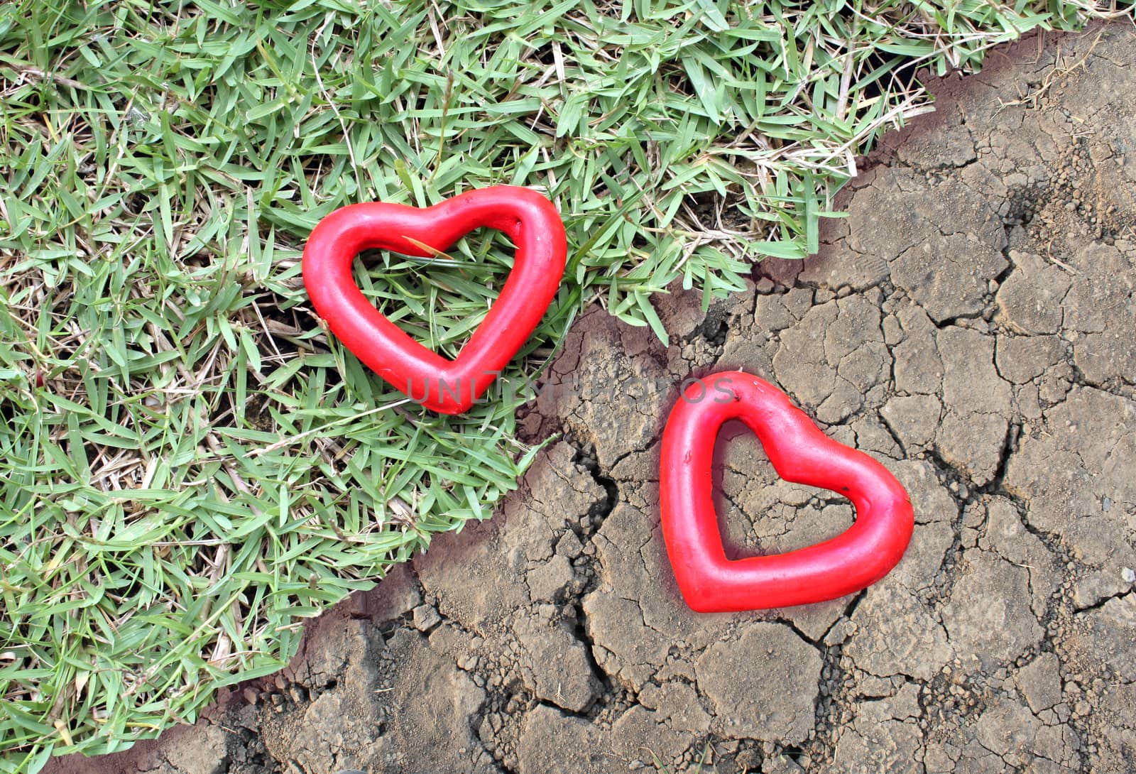 two red heart on the grass and arid land