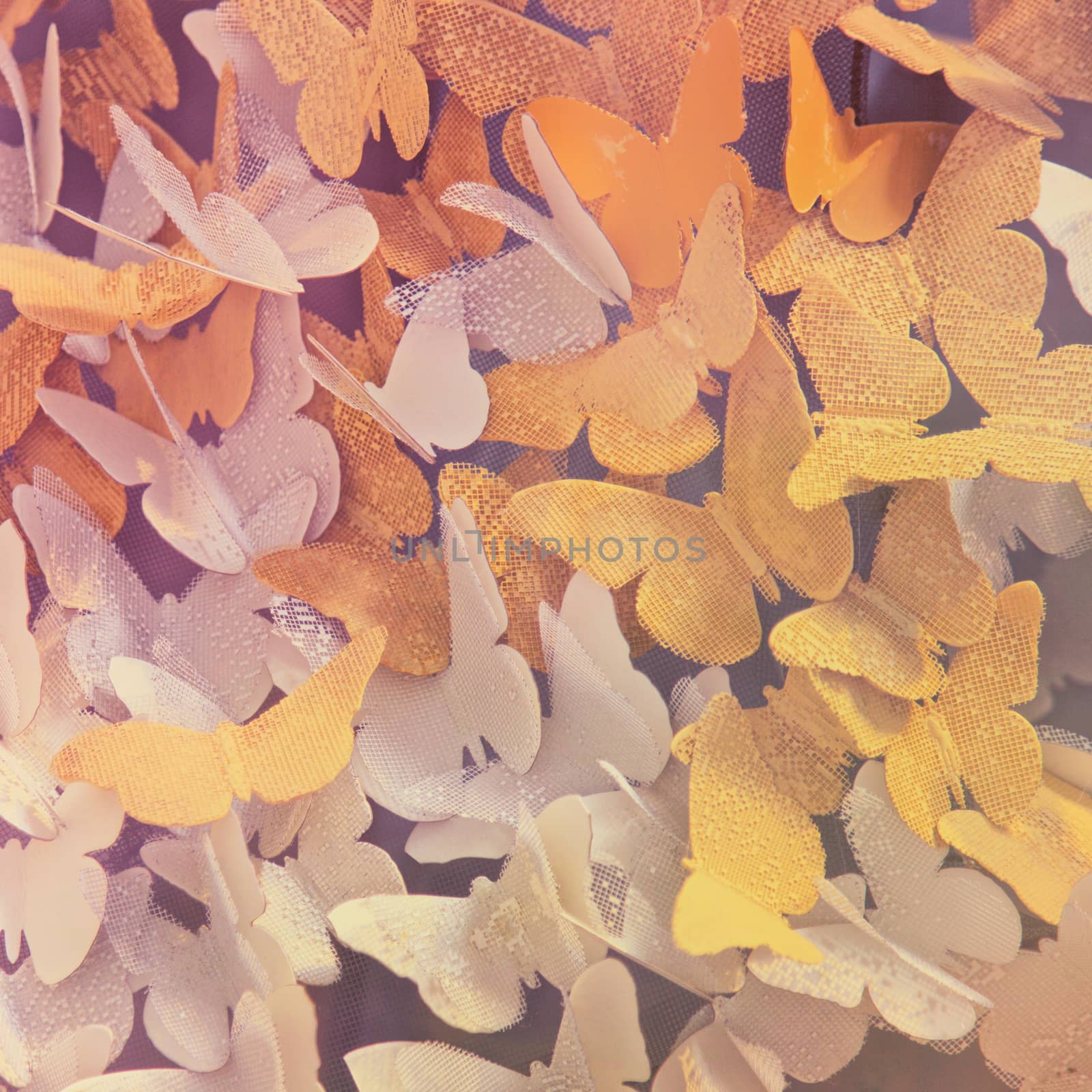 Paper Butterflies in a window display