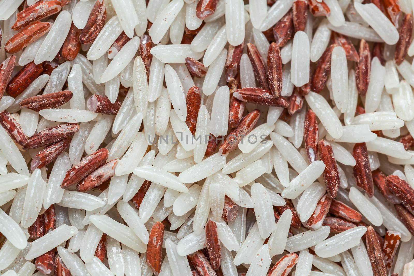 Brown Rice, destroyed by Red flour beetle, science names "Tribolium castaneum" or weevil are on brown rice, closeup