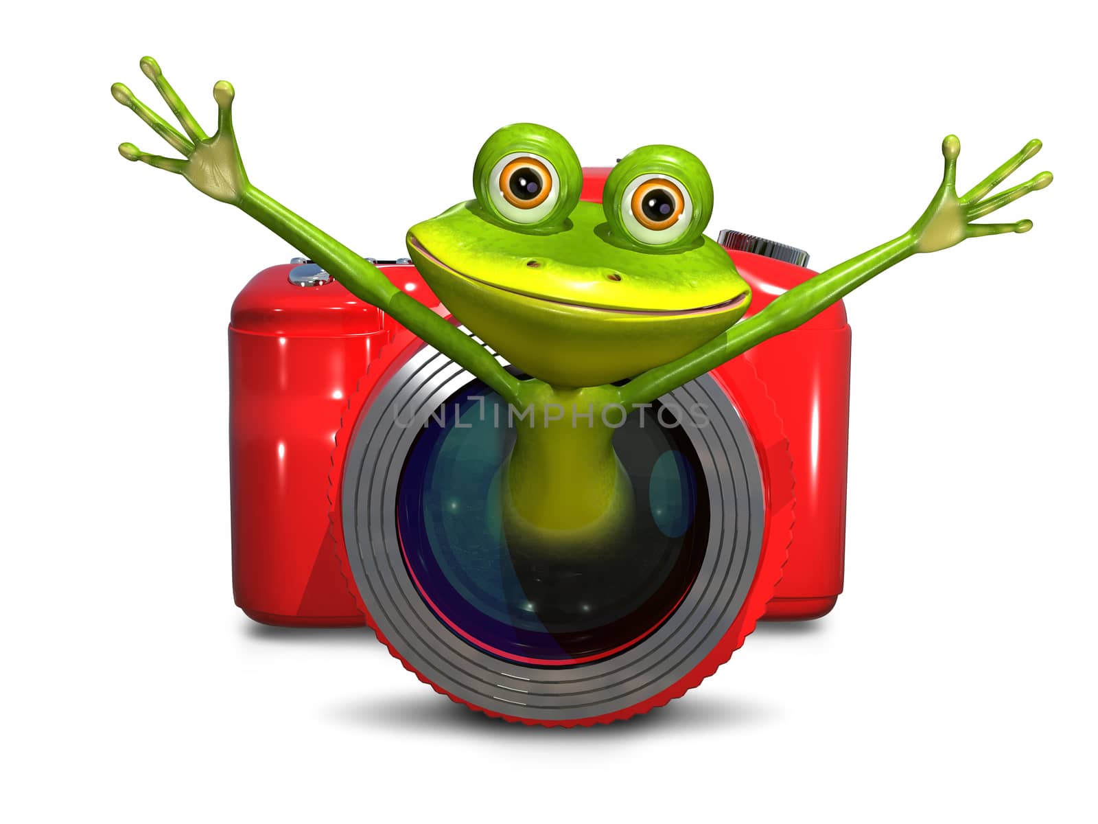 Illustration of a green frog in red camera