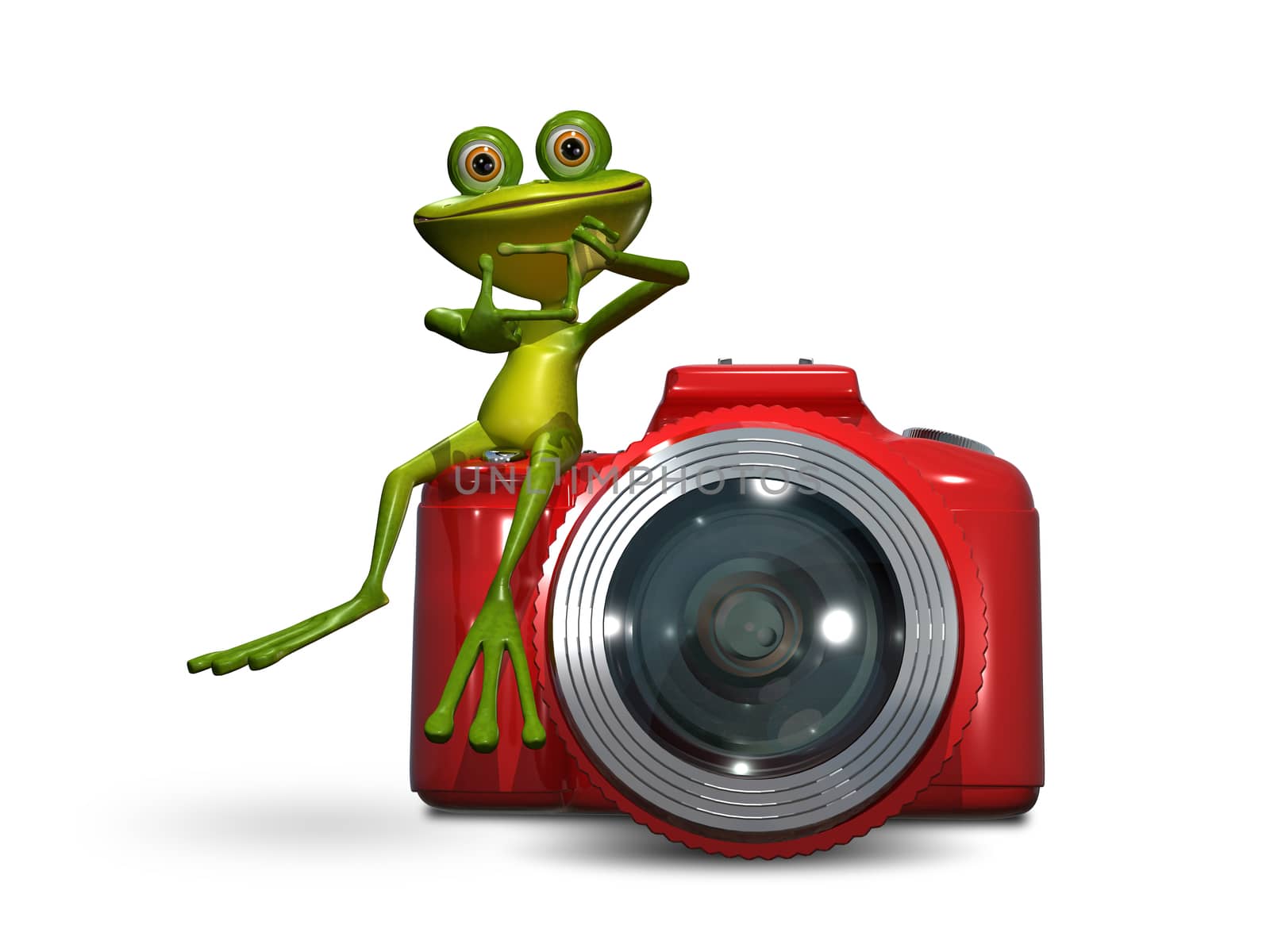 Illustration of green frog on a red camera